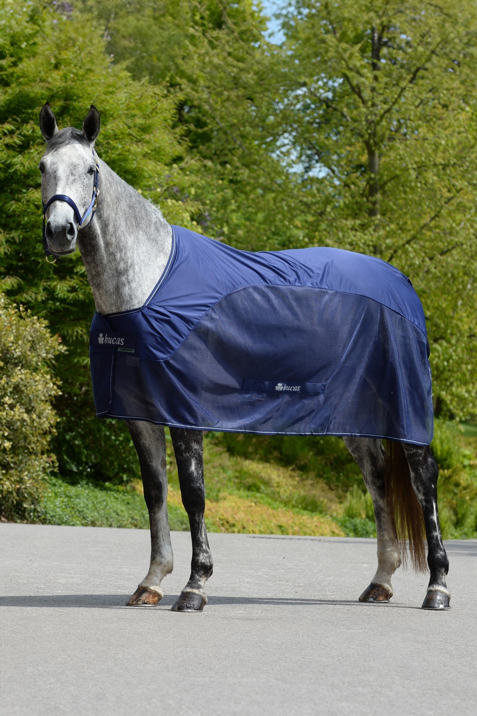 Bucas Competition Manta de Secado Mantas Caballo