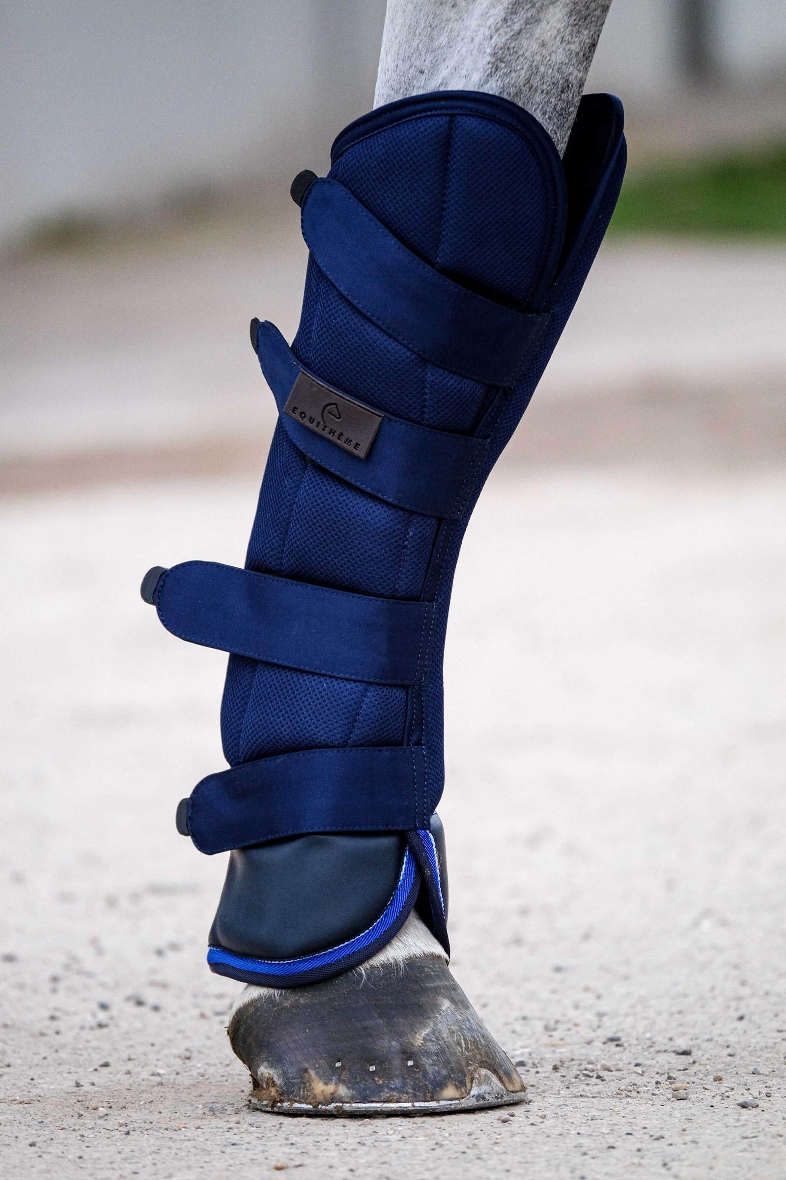 Equi Theme EQUITHÈME Classic protectores de transporte Leg & Hoof Protection