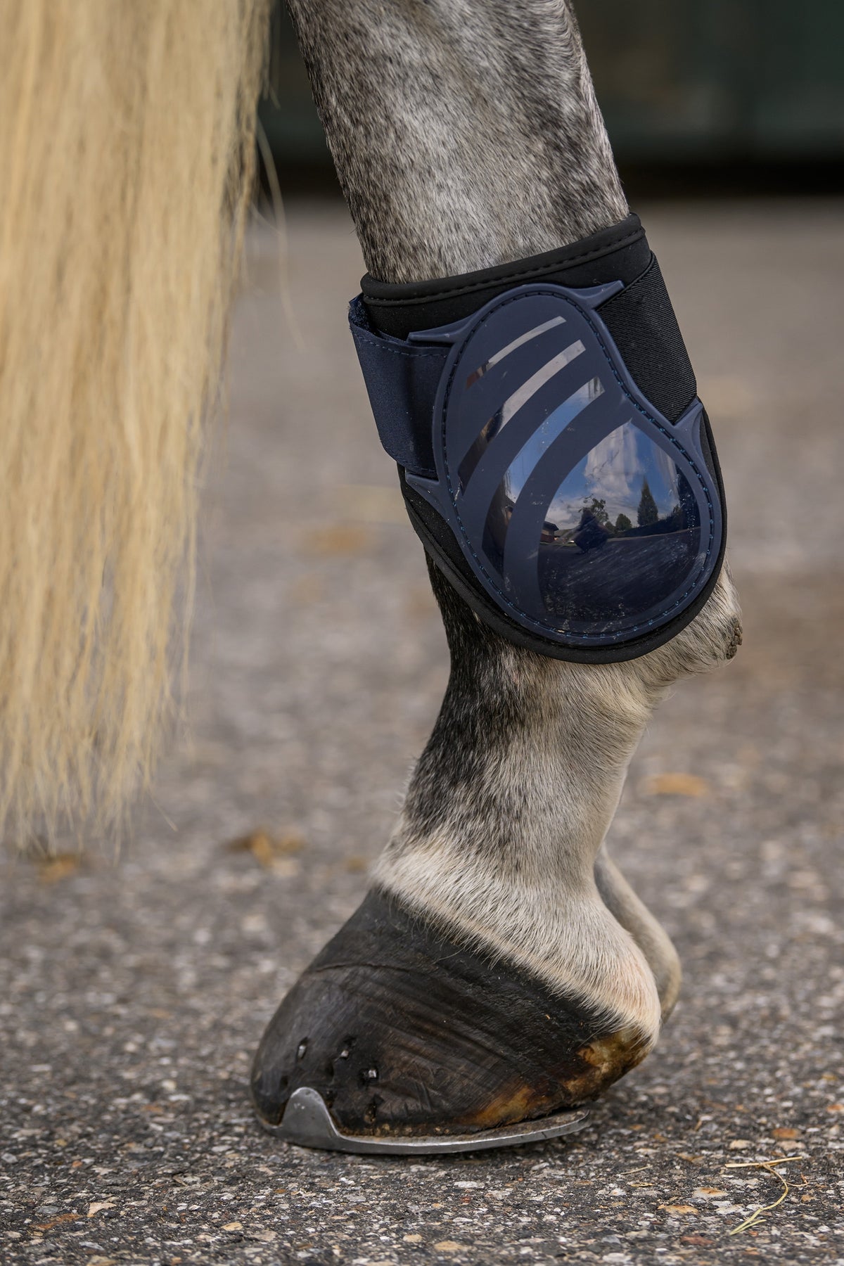 Cavallo CAVALHABOR Fetlock Boots Leg & Hoof Protection