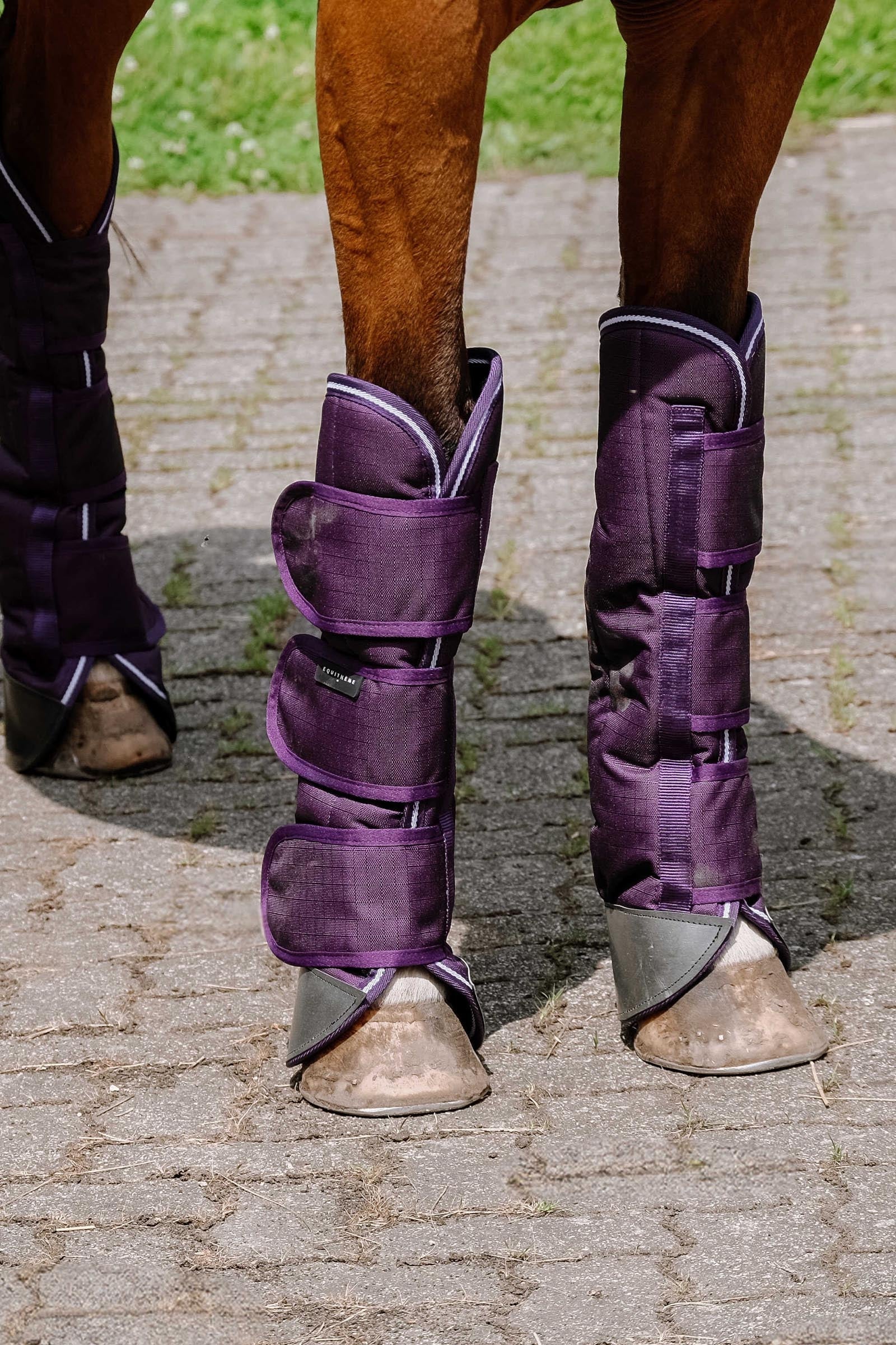 Equi Theme EQUITHÈME TYREX 600D Transport Boots Leg & Hoof Protection
