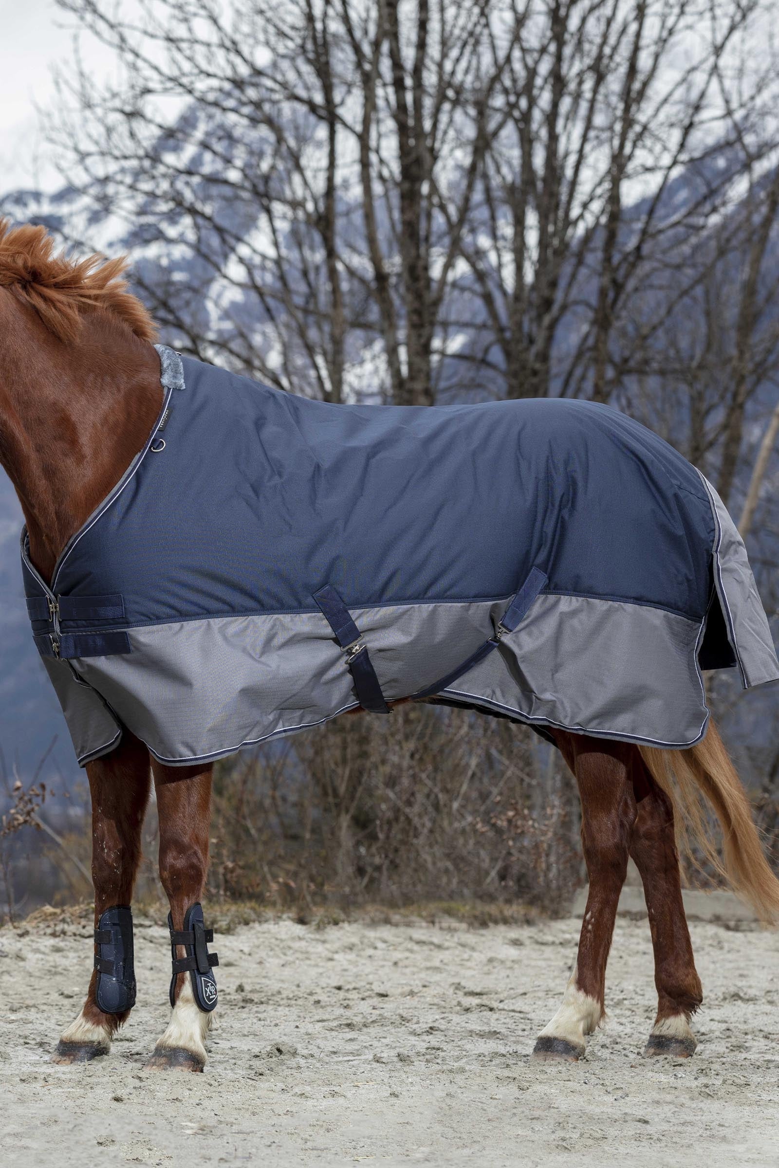 Equi Theme EQUITHÈME TYREX 600D Turnout Rug Horse Rugs