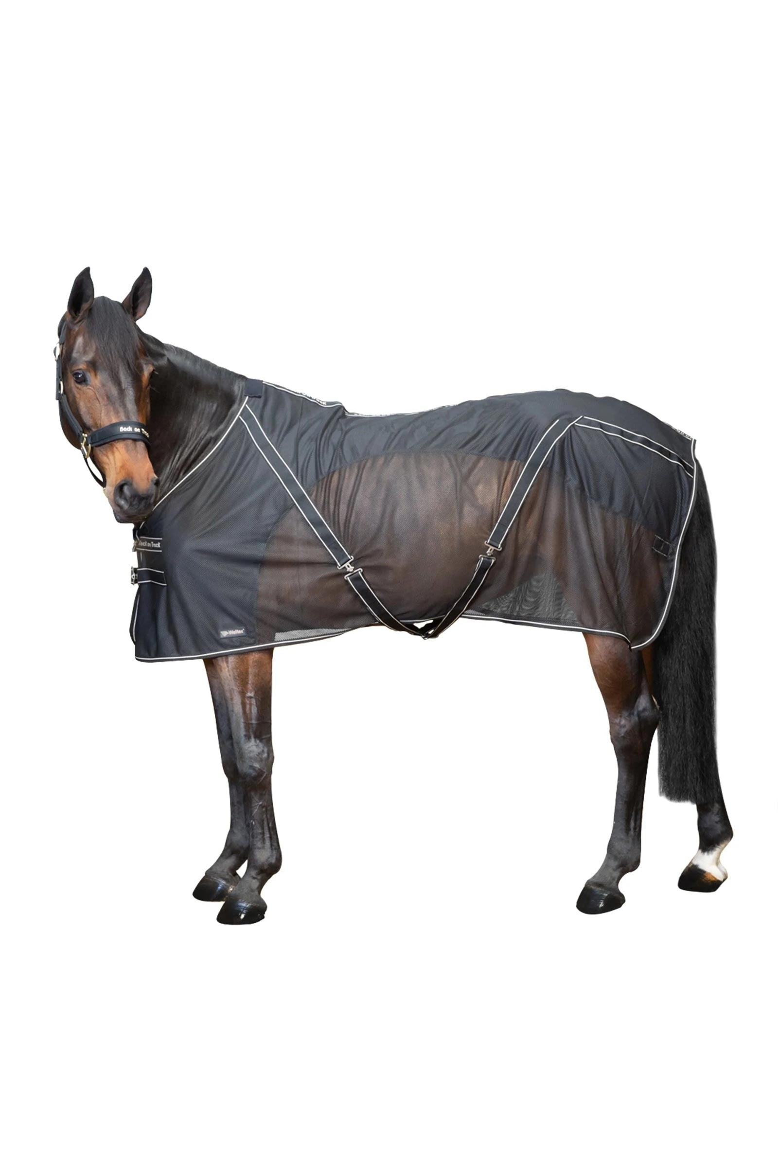 Back on Track Manta de Secado Sienna Mantas Caballo