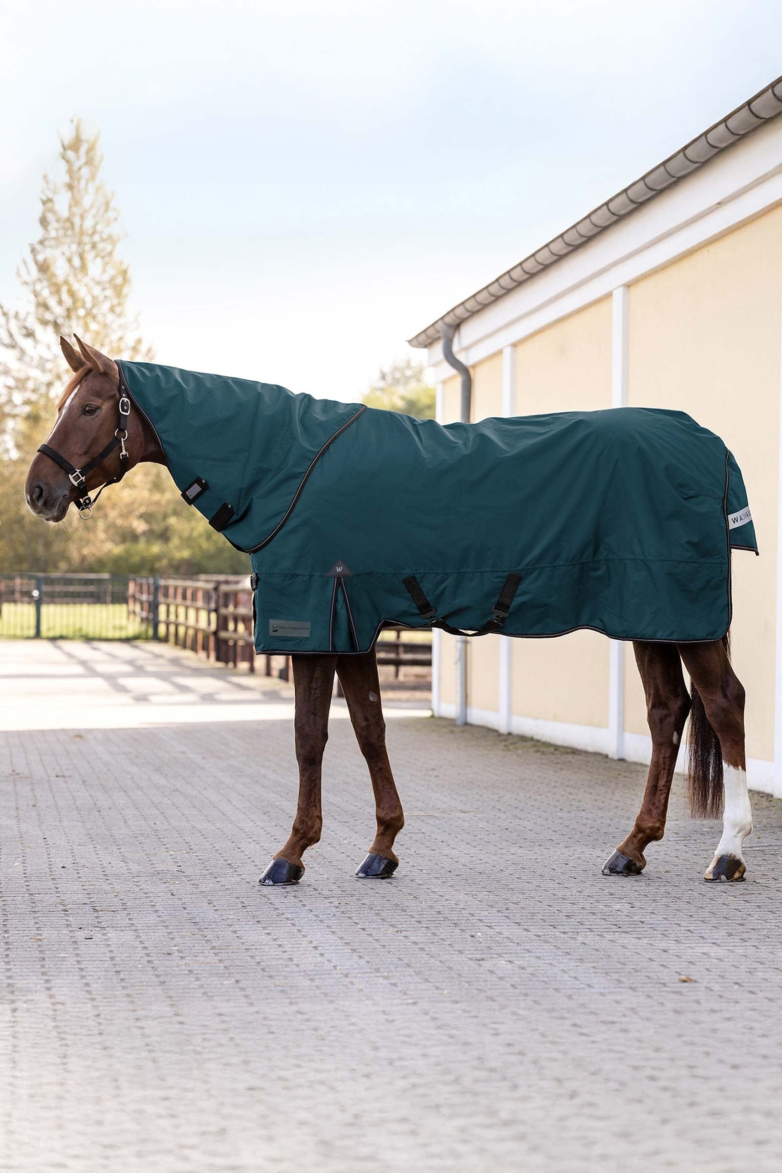 Waldhausen 600D Outdoor Neck Rug, 0 g Horse Rugs