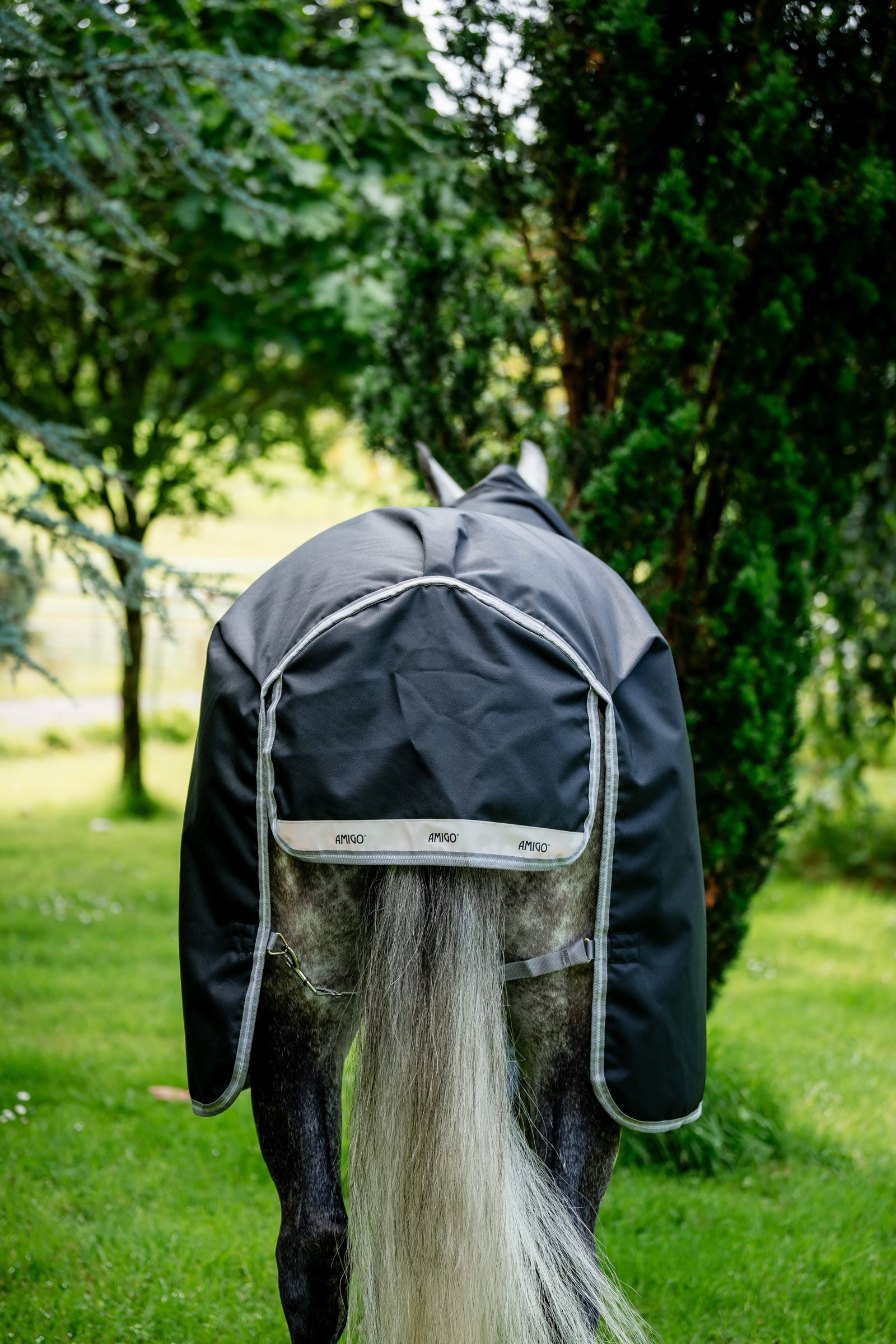 Horseware Amigo 1200D Plus Turnout Rug, 50 g Horse Rugs