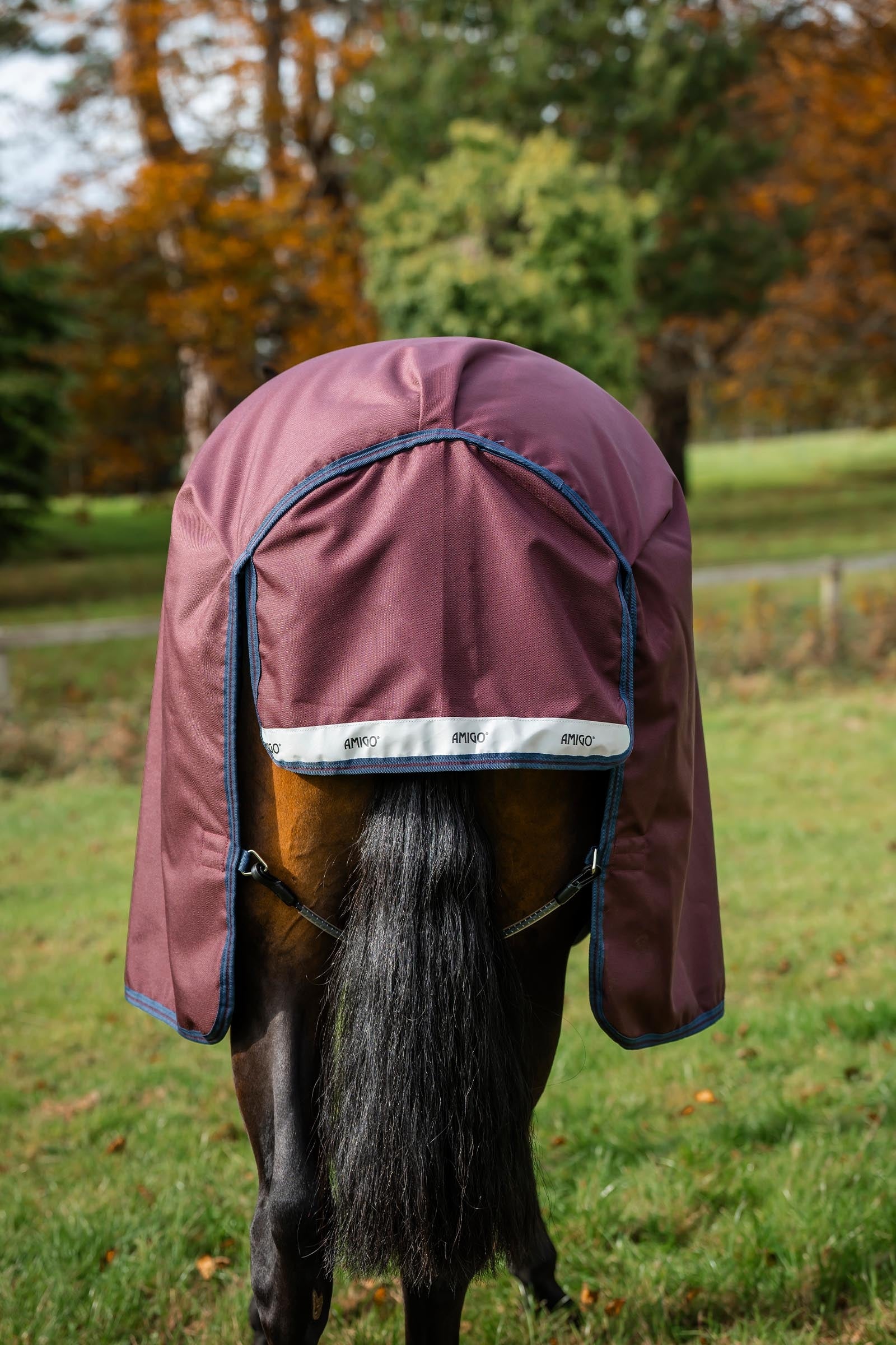 Horseware Amigo 1200D Plus Turnout Rug, 50 g Horse Rugs