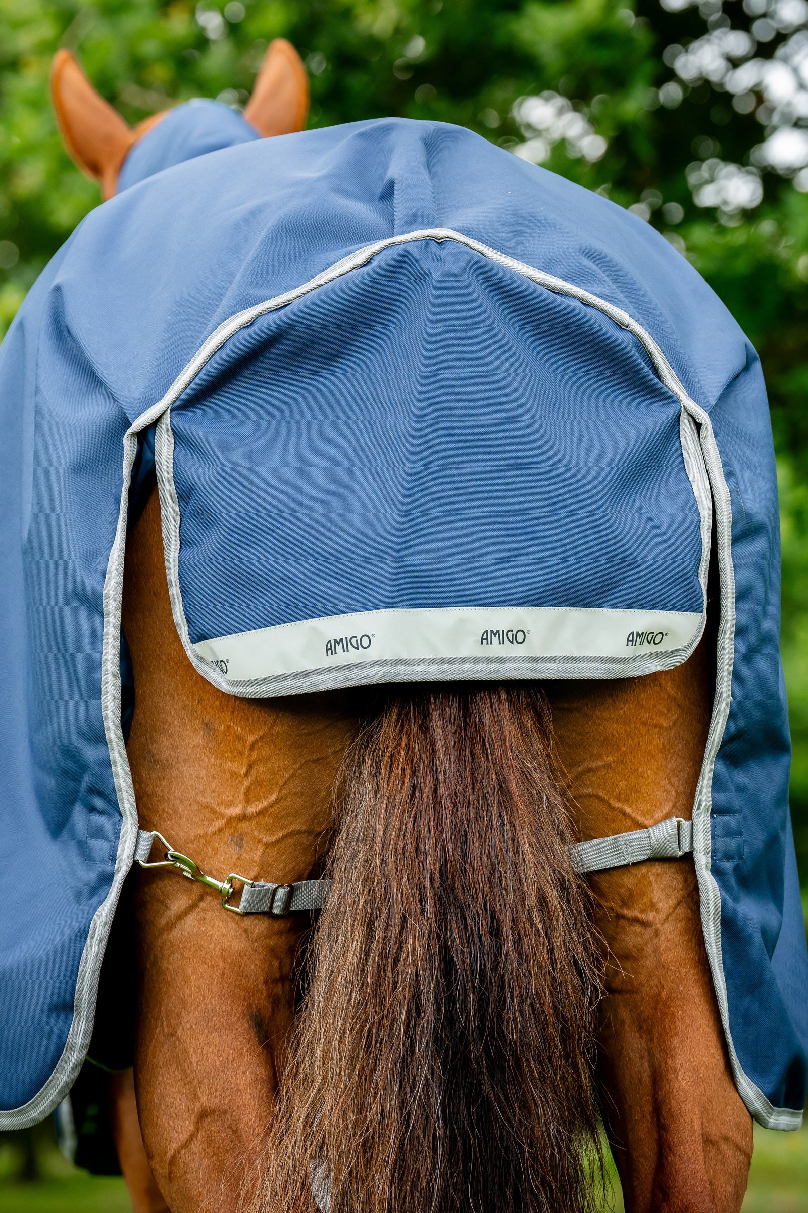 Horseware Amigo 1200D Plus Turnout Rug, 50 g Horse Rugs