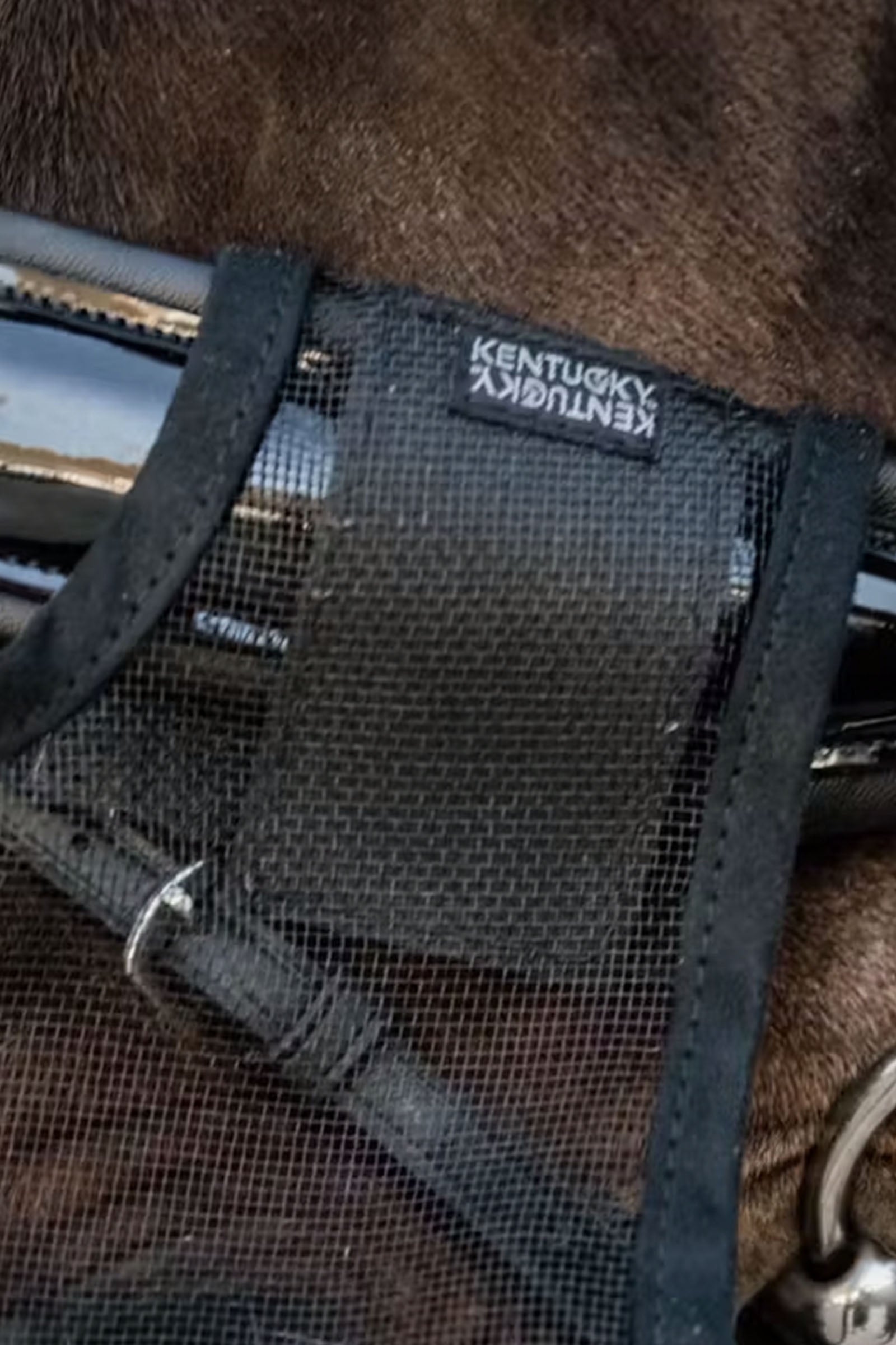 Kentucky Horsewear Anti fly nose net Antifly Protection for Horses