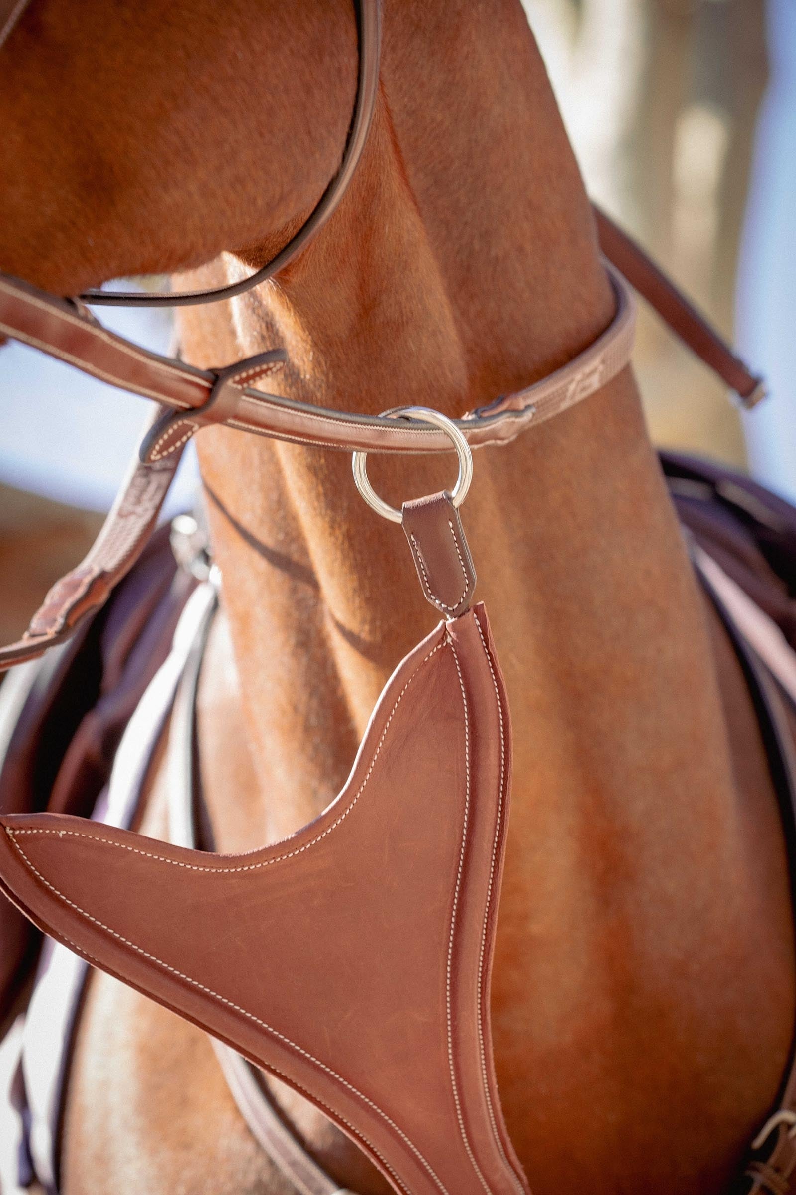 PENELOPE Bip Flap Martingale Fork, Elastic Bridles & Reins