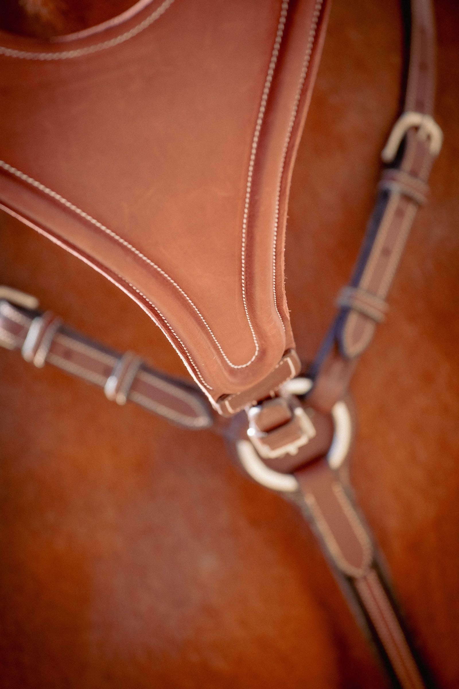 PENELOPE Bip Flap Martingale Fork, Elastic Bridles & Reins