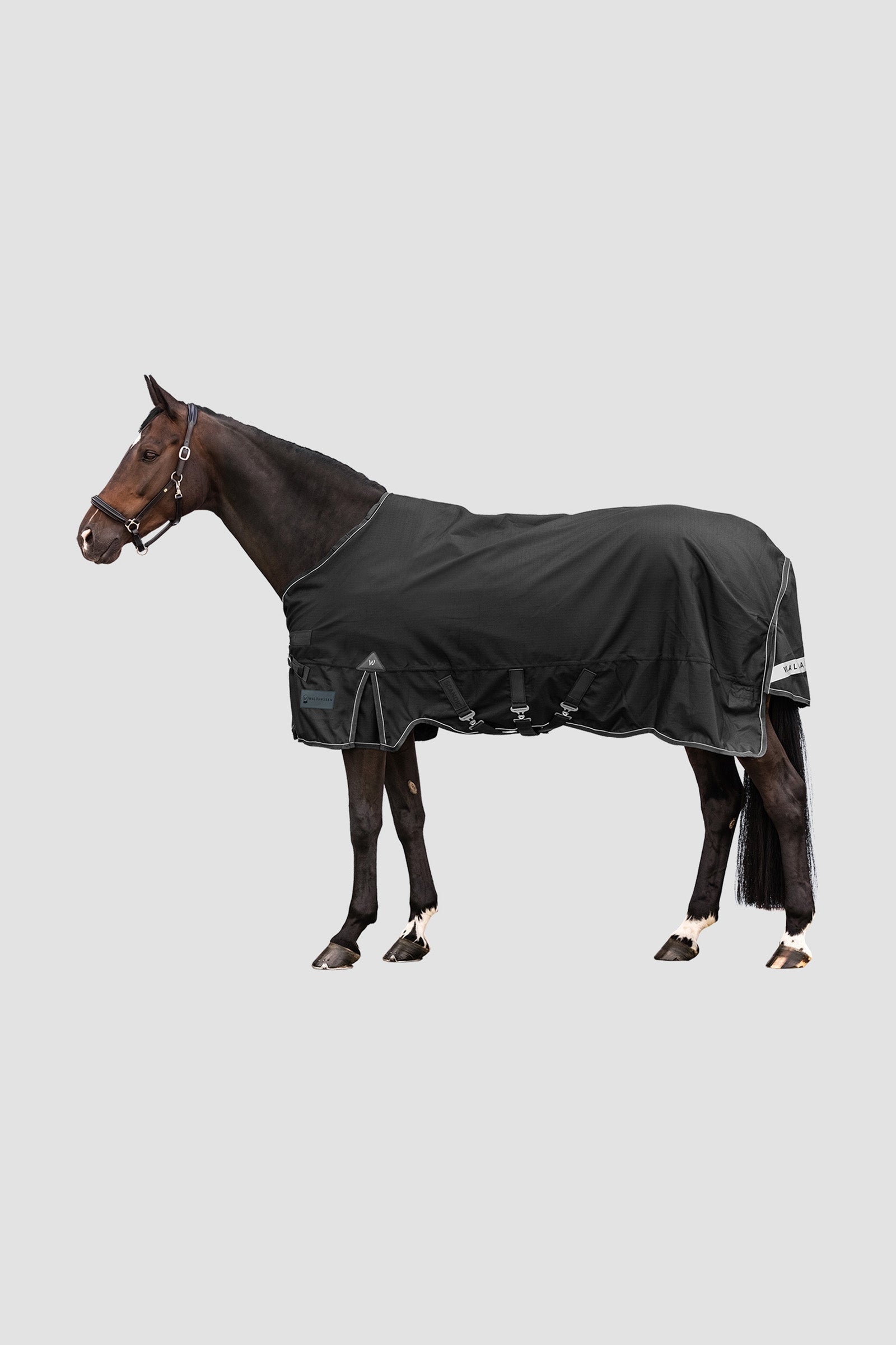 Waldhausen Outdoor Rug Scandic 50g Horse Rugs