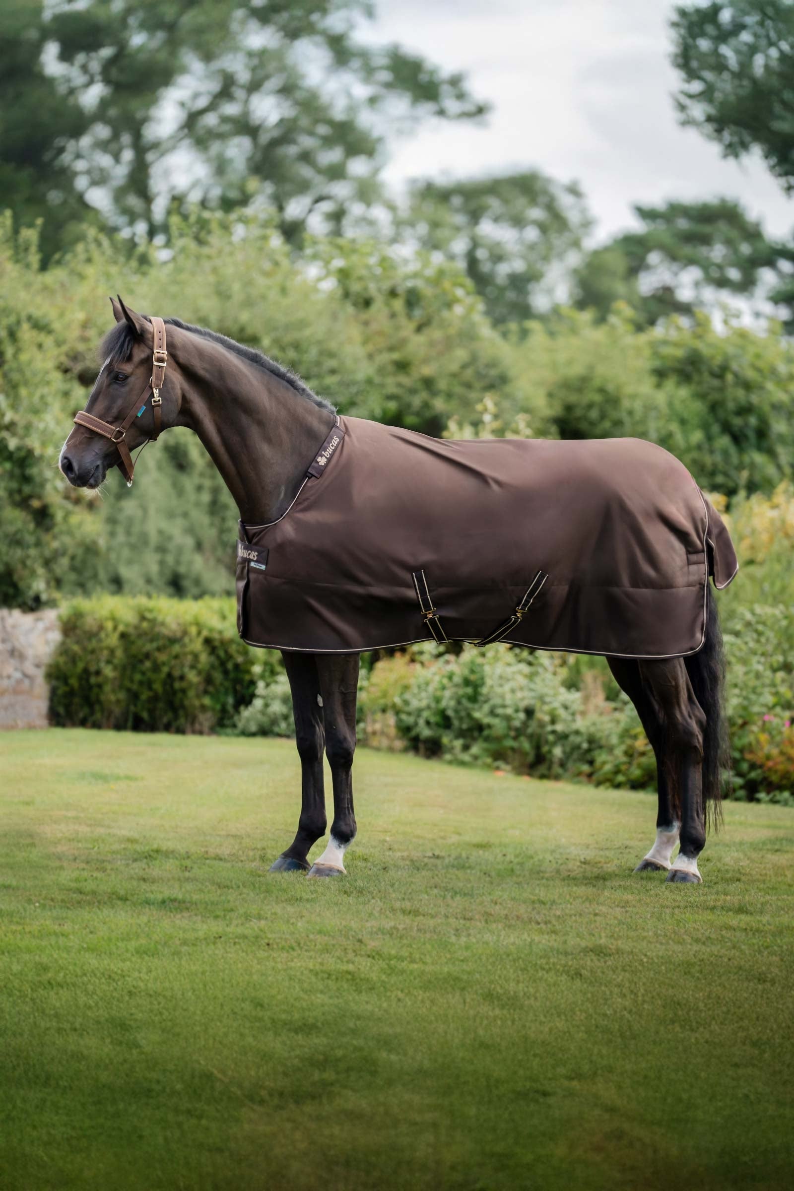 Bucas Irish Turnout Rug, 300 g & Neck Set Mantas Caballo