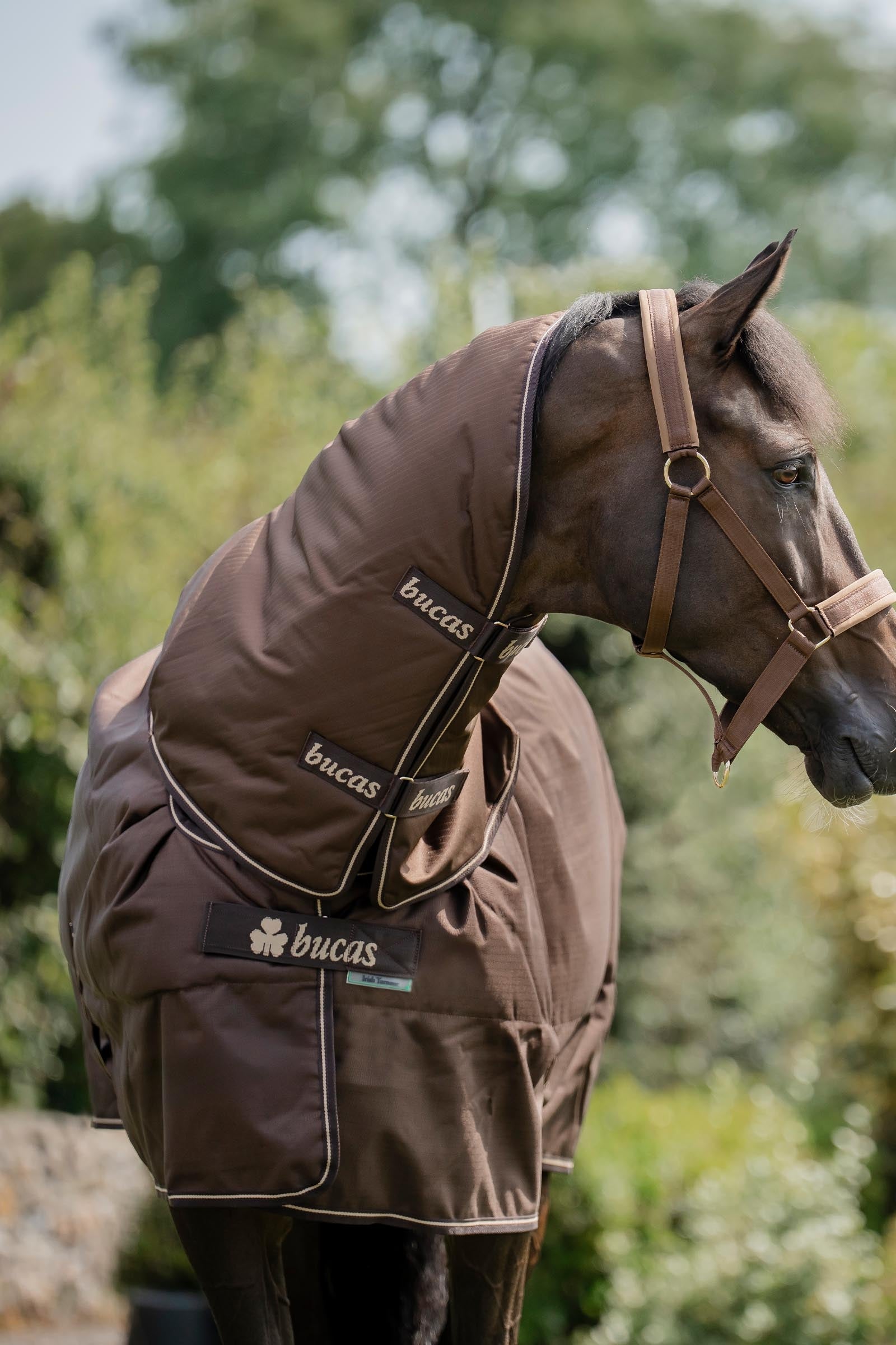Bucas Irish Turnout Rug, 300 g & Neck Set Horse Rugs