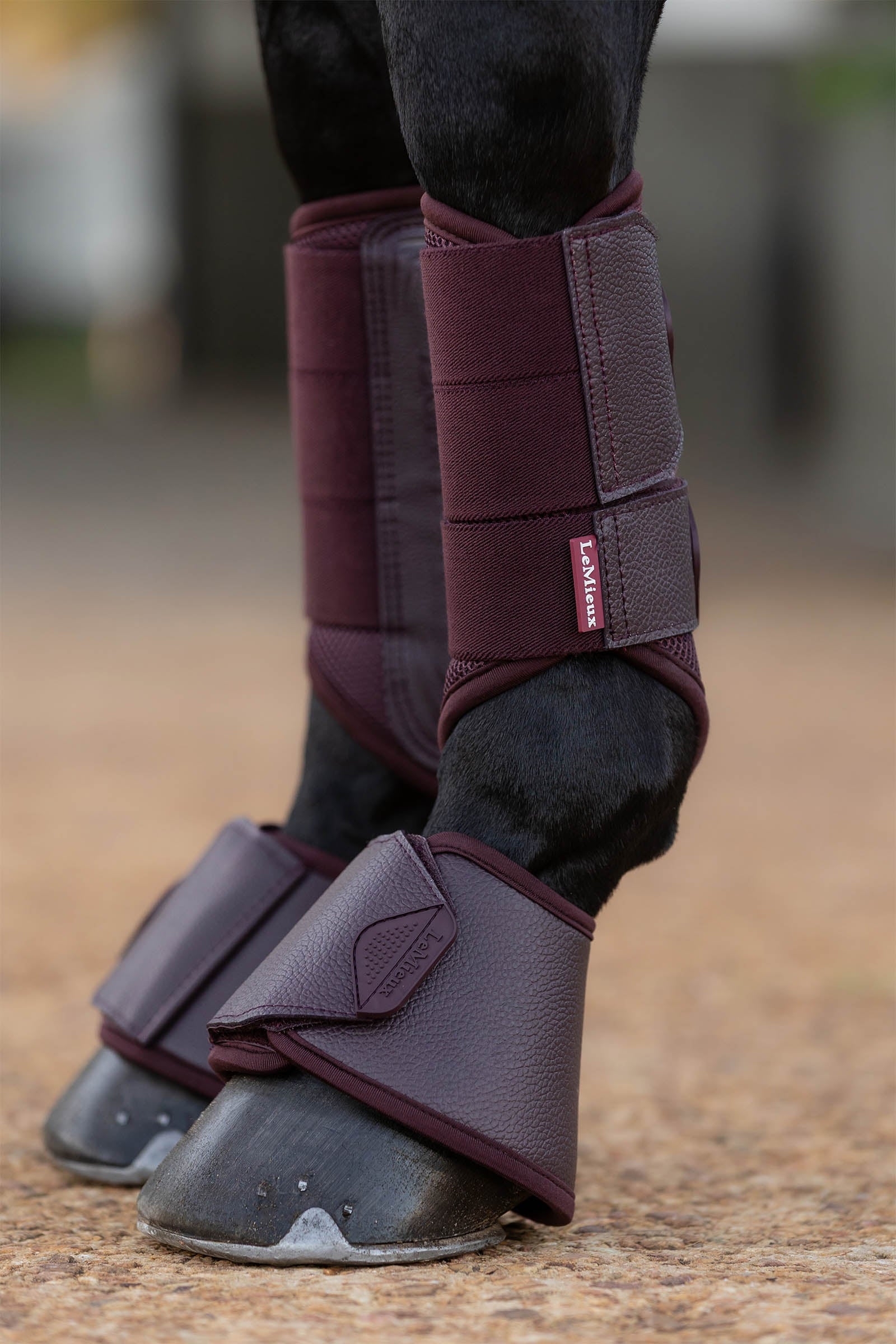 LeMieux Arika Over Reach Boots Leg Protection & Hoof Protection for Horses