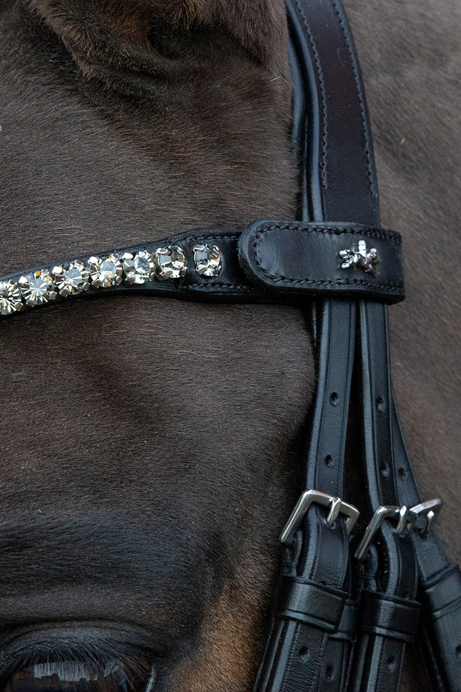 Schockemöhle Sports Milazzo Double Bridle Bridles & Reins