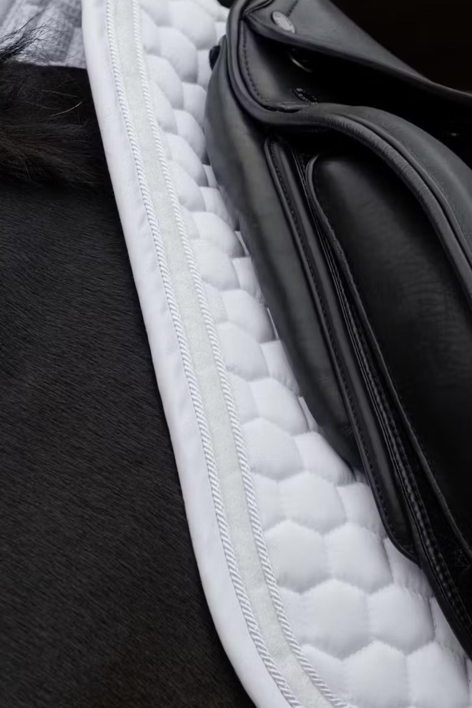 Kentucky Horsewear Kentucky Horseware Glitter Band Dressage Saddle Pad Saddle Pads