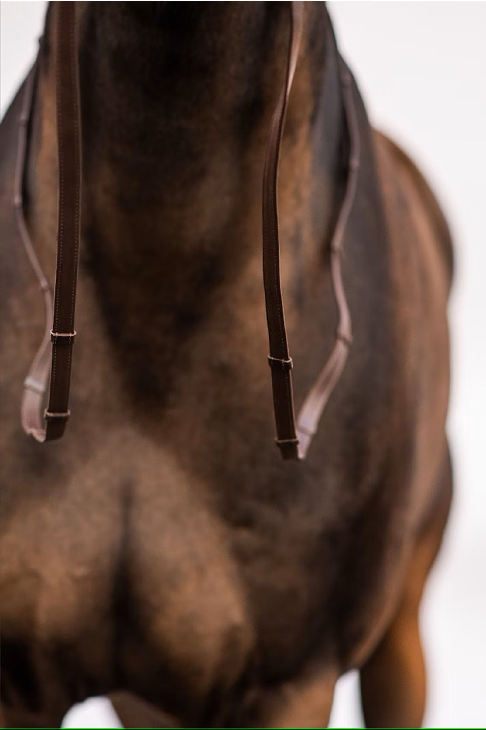 PS of Sweden Reins Softy Bridles & Reins
