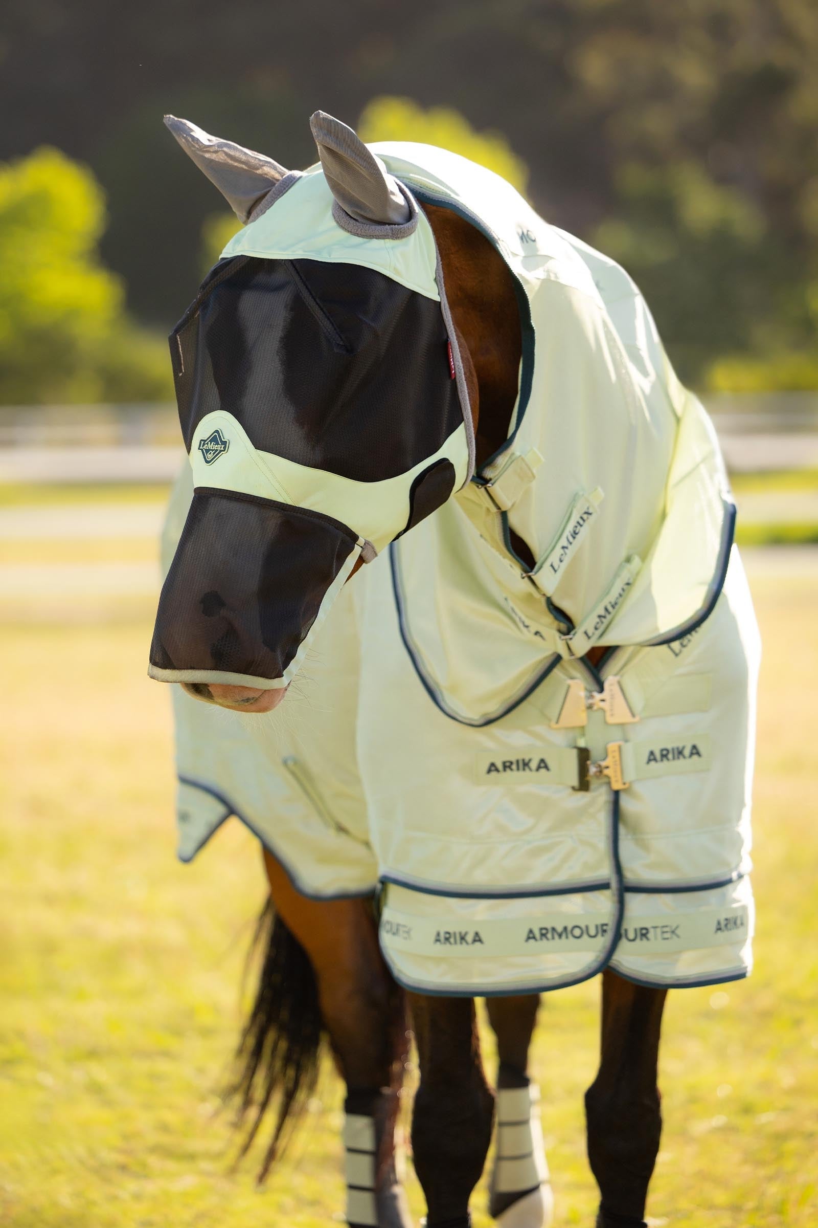 LeMieux Visor-Tek Full Fly Mask Antifly Protection for Horses