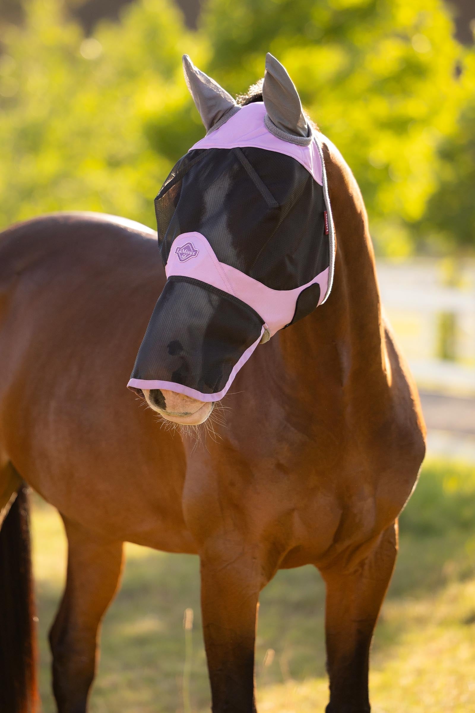 LeMieux Visor-Tek Full Fly Mask Antifly Protection for Horses