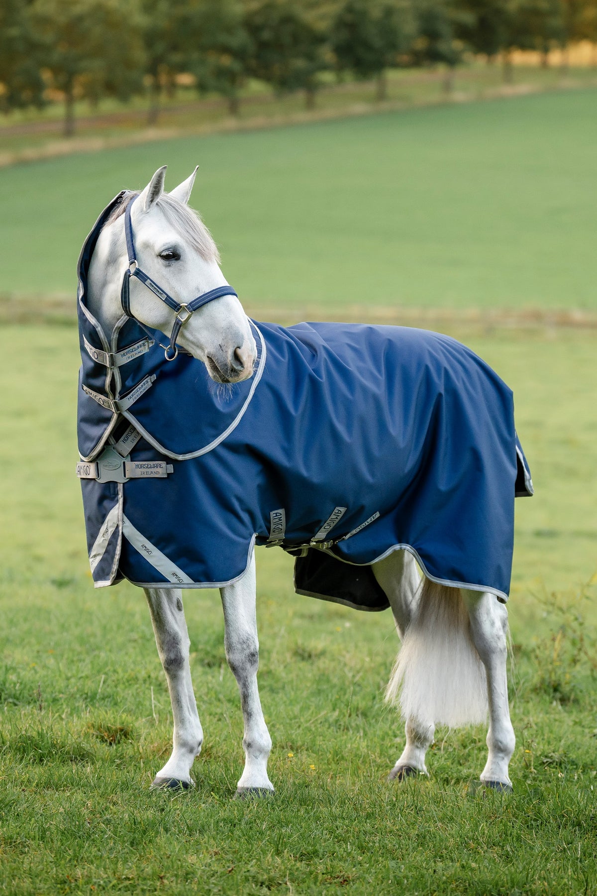 Horseware Amigo 1200D FieldSafe Plus manta de exterior con cubrenuca desmontable, 50 g Mantas Caballo