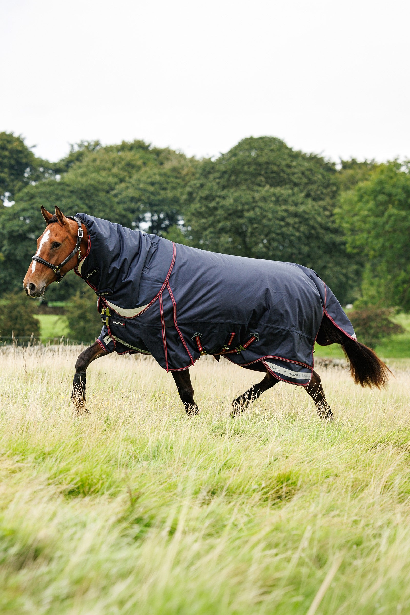 Lifestyle shot 2