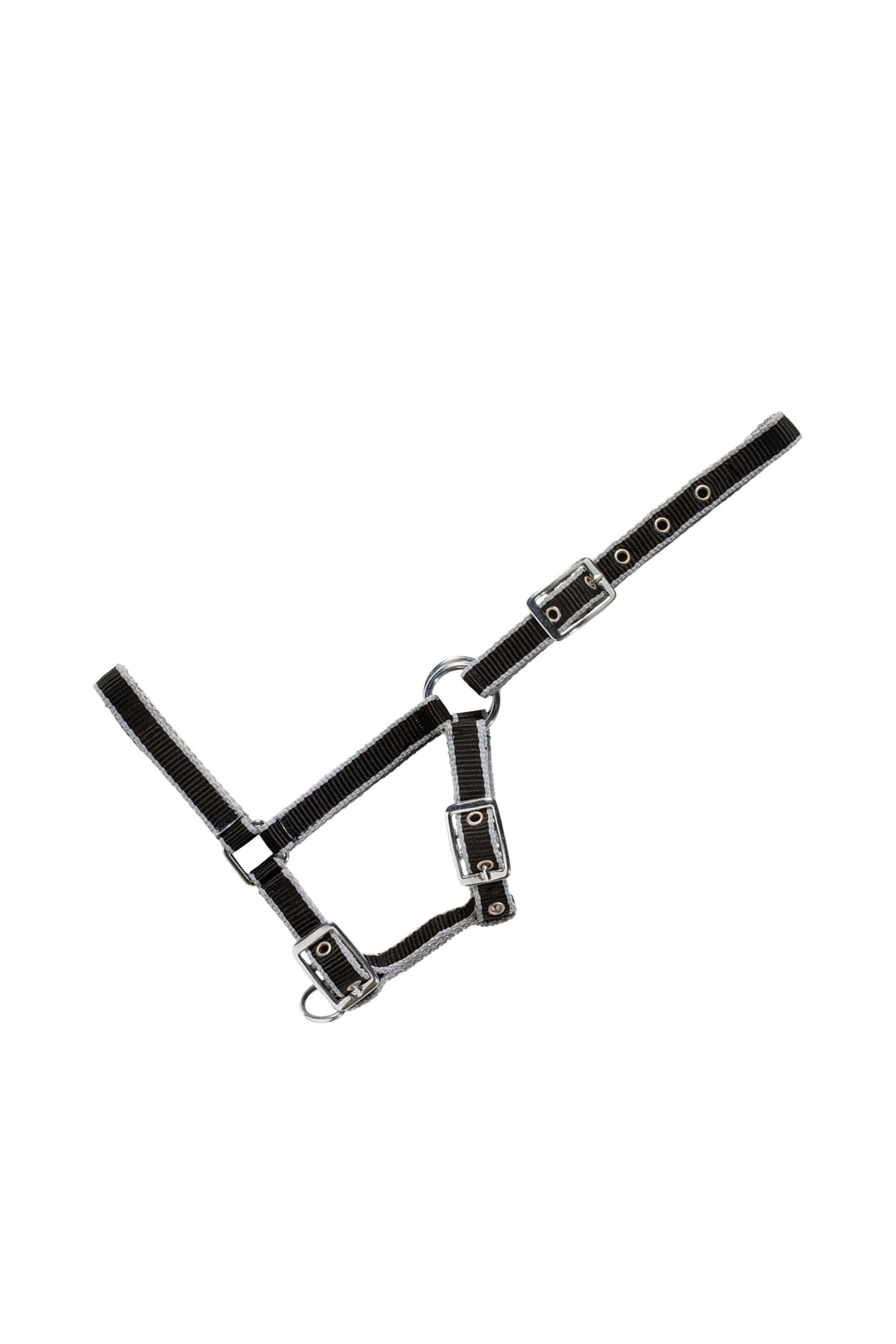 USG Adjustable Foal Halter Cabezadas de cuadra & Ramales