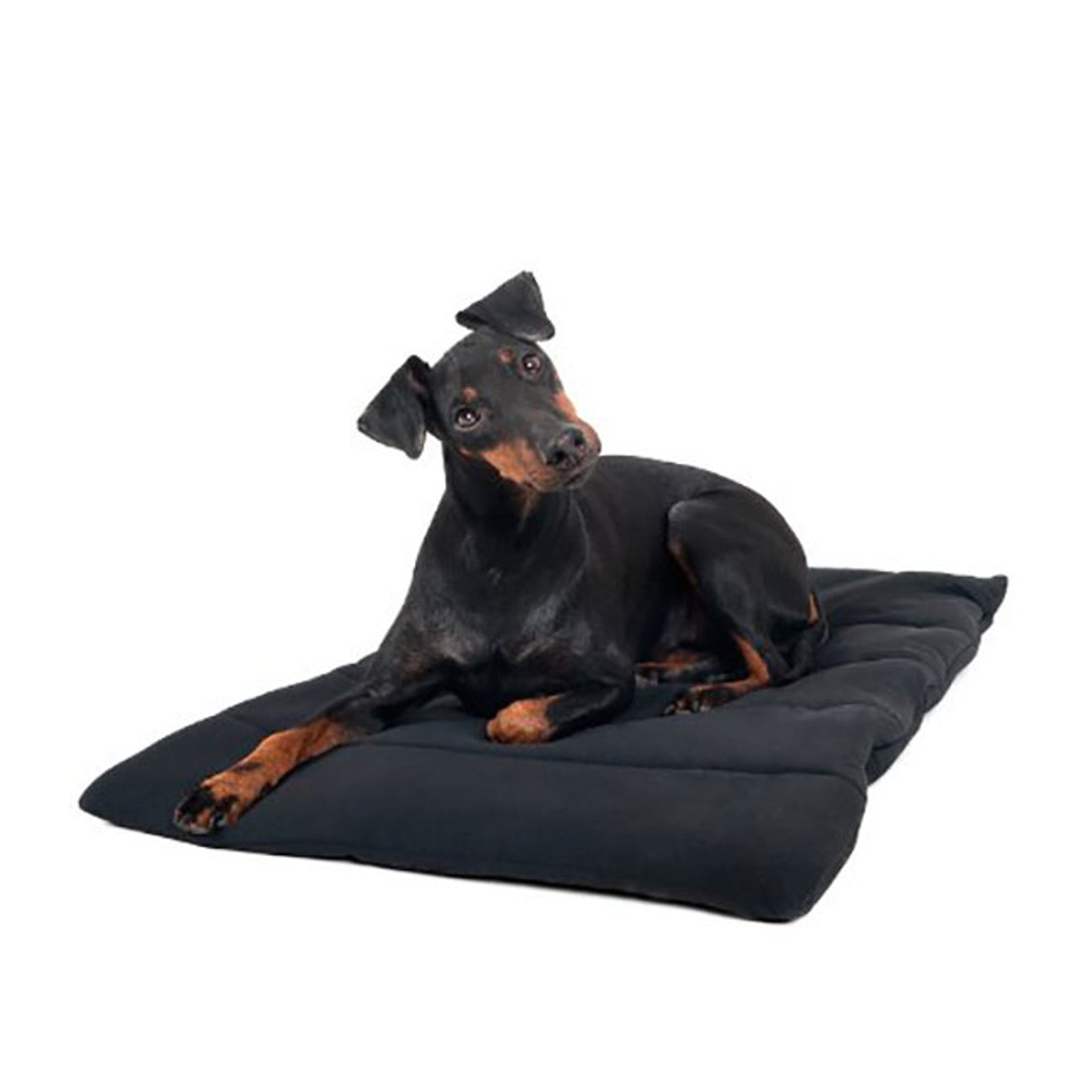 Back on Track Manta para Perro Back on Track Perro