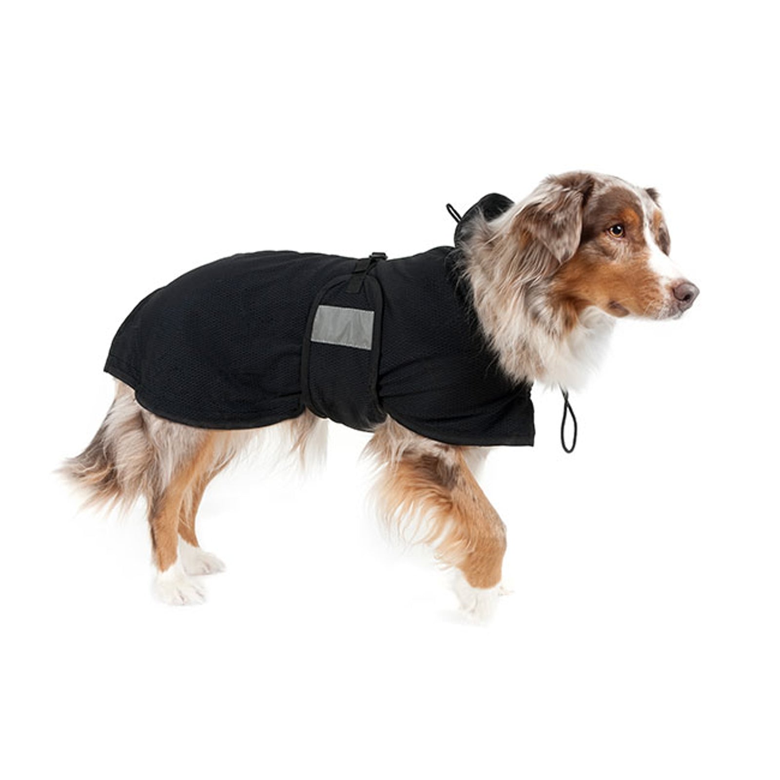 Back on Track Manta de Malla para Dachshund Back on Track Perro