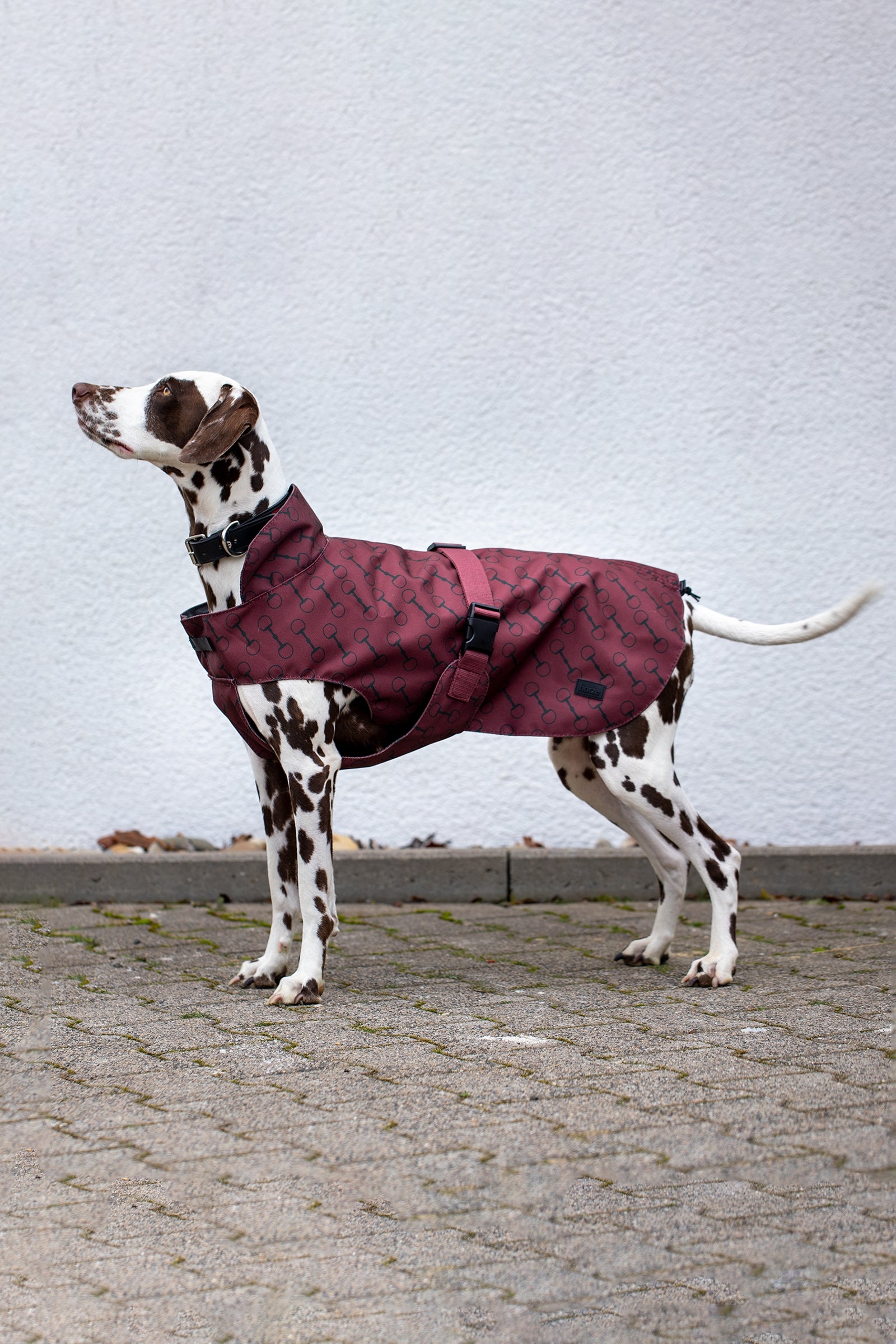 Horze Abrigo con Estampado para Perro Noir Perro