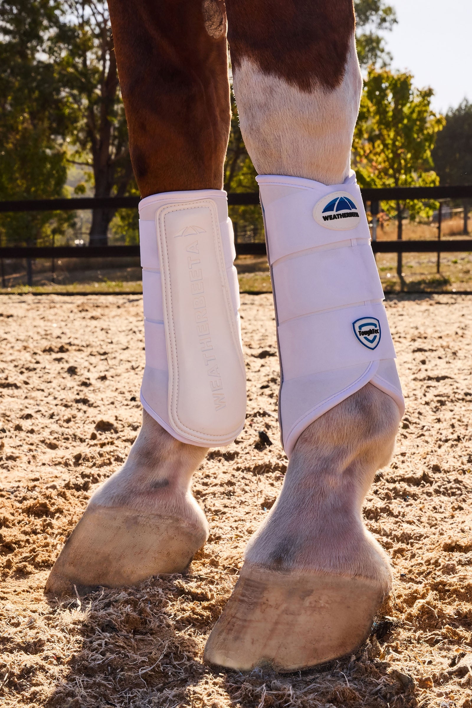 Weatherbeeta Tough-Tec Prime Brushing Boots Leg Protection & Hoof Protection for Horses