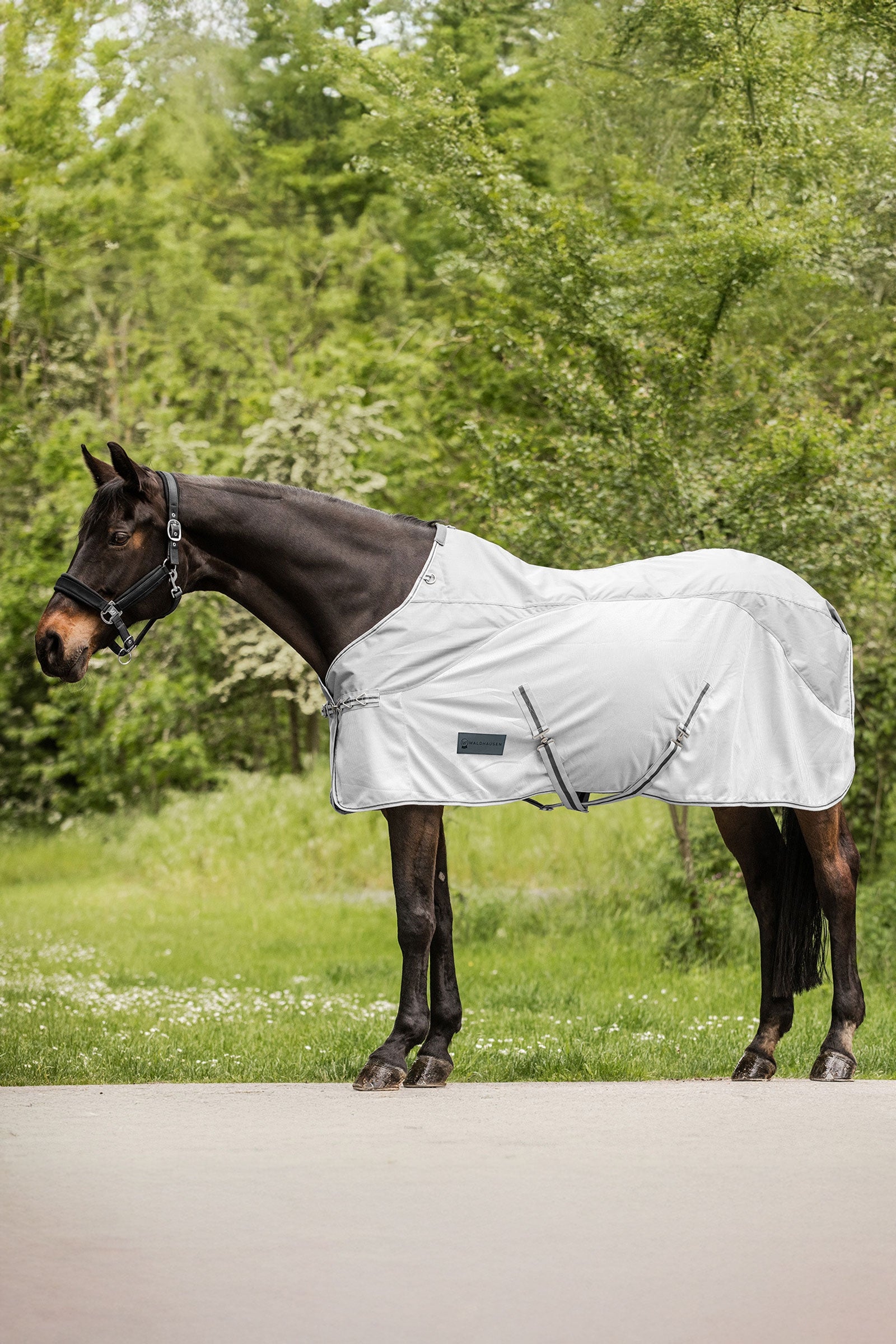 Waldhausen Protect Rain Fly Rug Horse Rugs