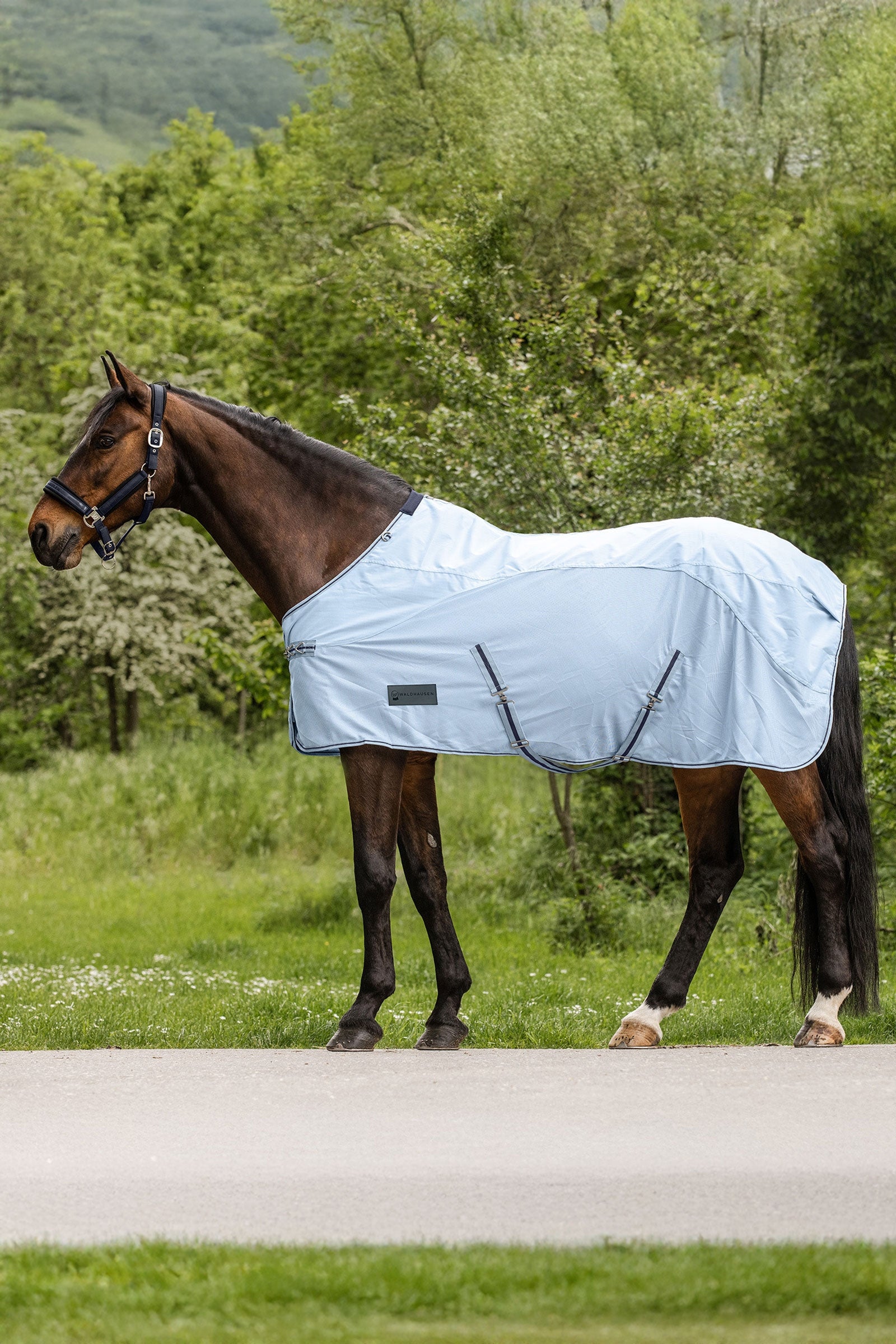 Waldhausen Protect manta antimoscas con protección contra la lluvia Mantas Caballo