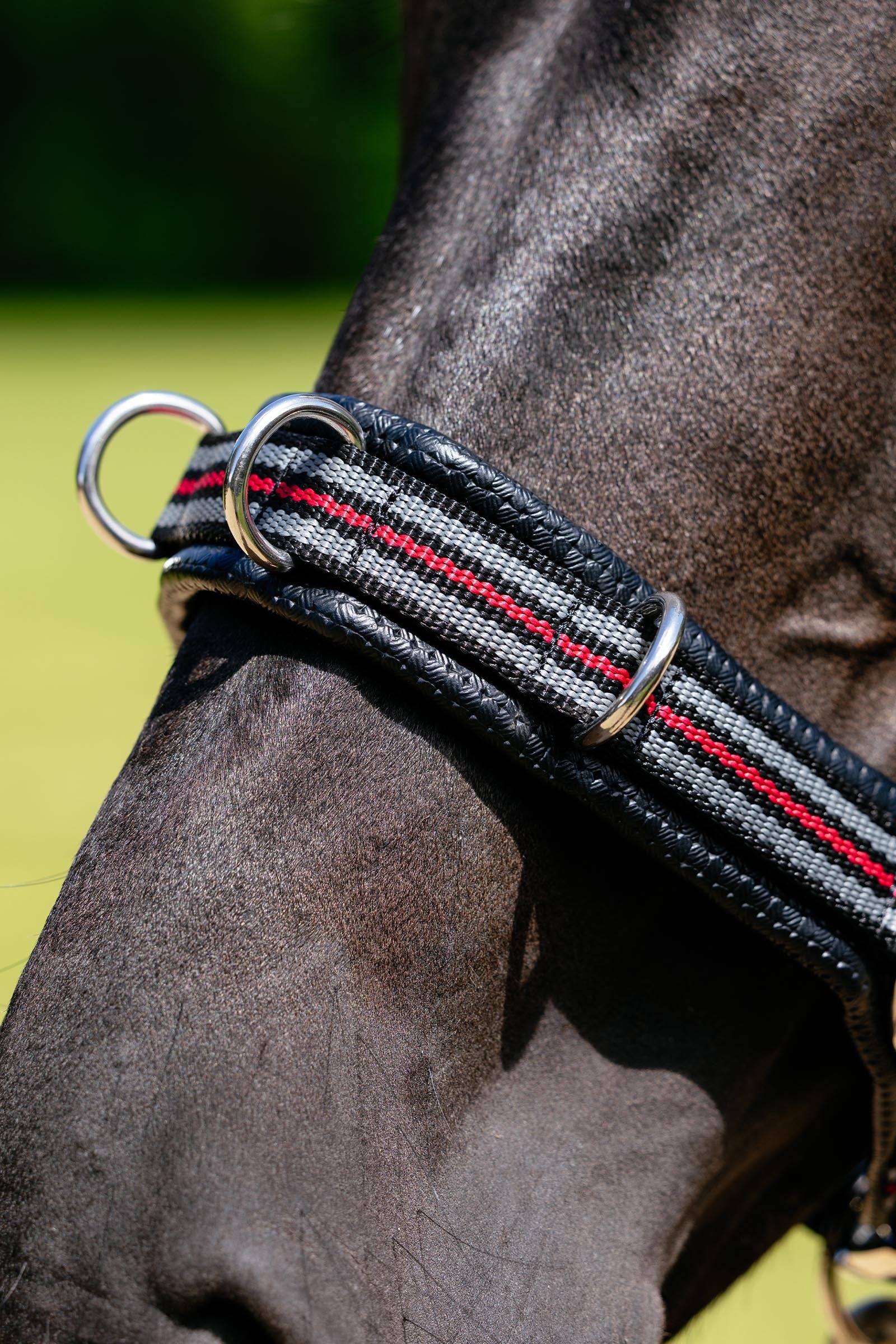 LeMieux Cavesson Lunge Headcollar Halters & Leads