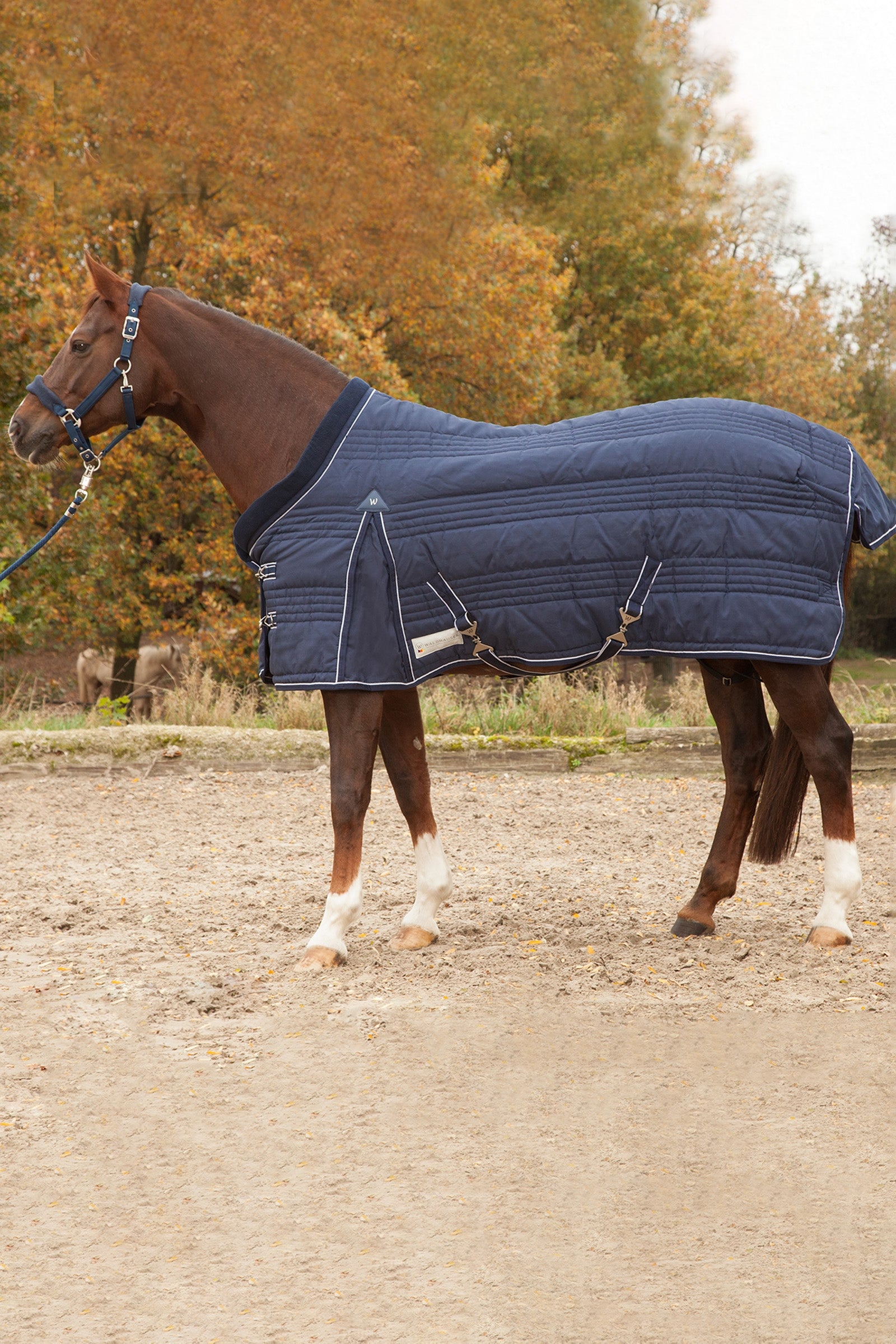 Waldhausen Stable Rug Comfort Line 200g Mantas Caballo