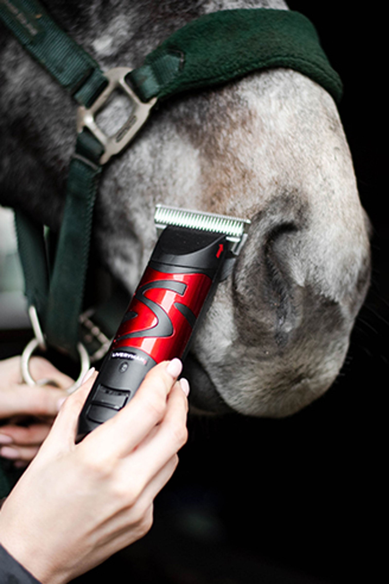 Liveryman Harmony Plus With Wide Fine Blade, 1.5 mm Horse Clipping & Trimming Tools