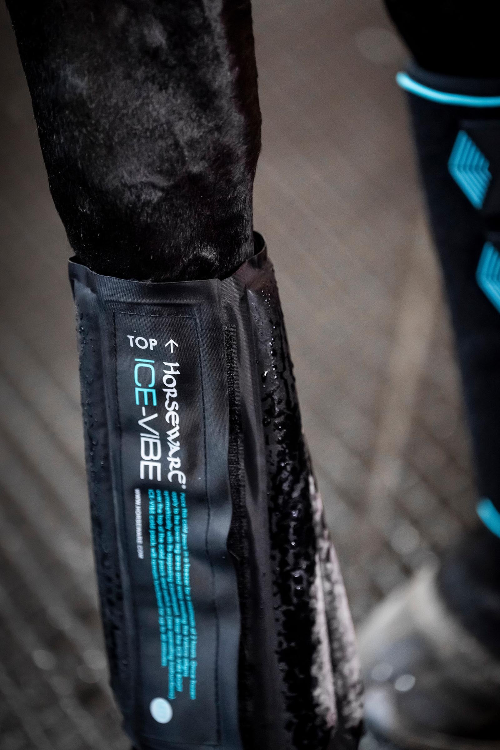 Horseware Ice-Vibe Cold Packs (1 Pair) Leg & Hoof Protection