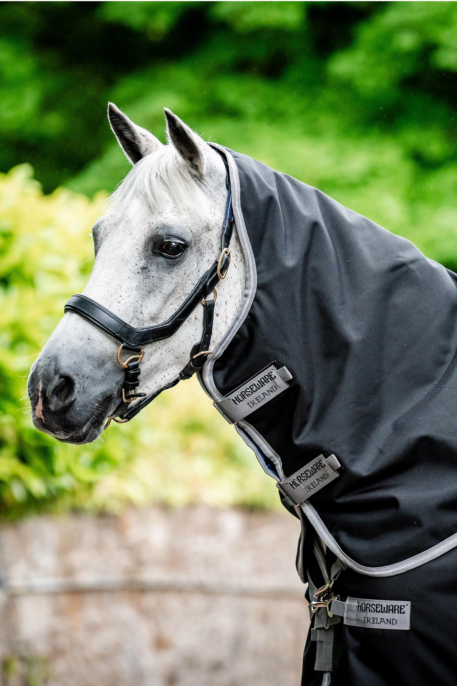 Horseware Amigo Bravo 12 Cuello 0g Mantas Caballo