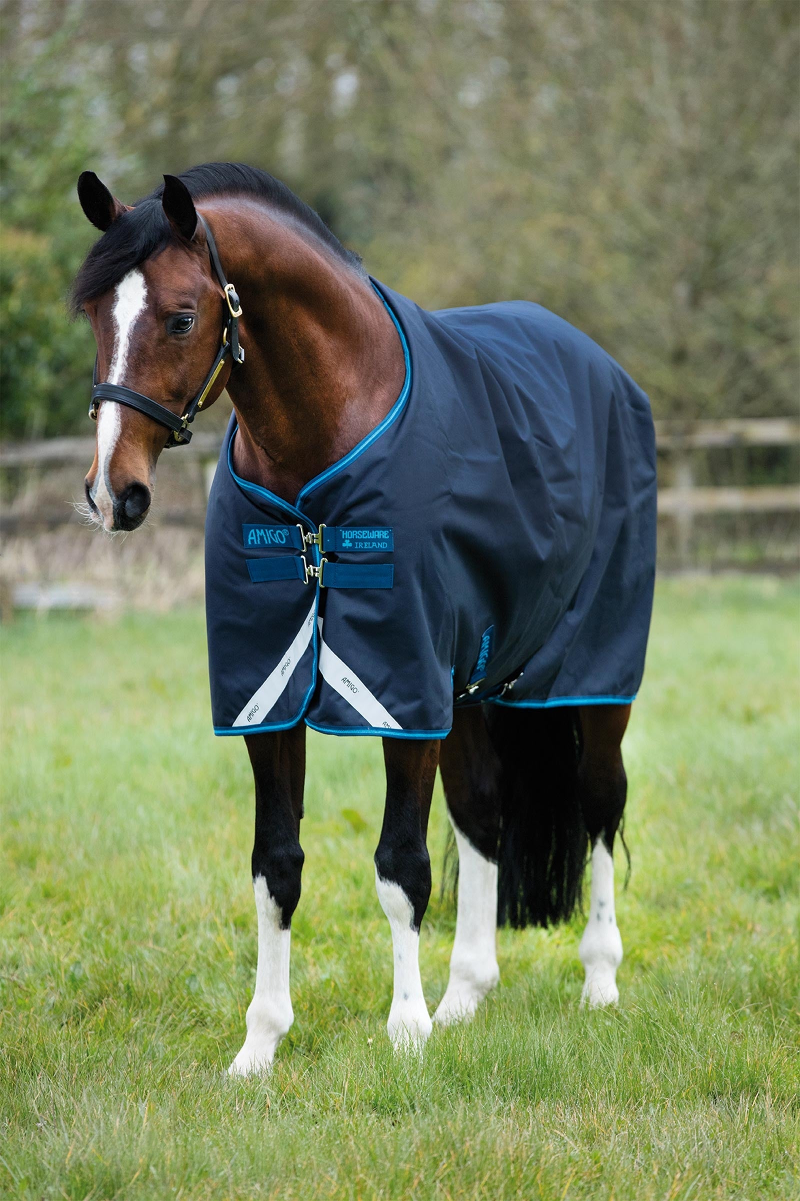 Horseware Amigo Bravo 12 Turnout Rug, 100g Horse Rugs