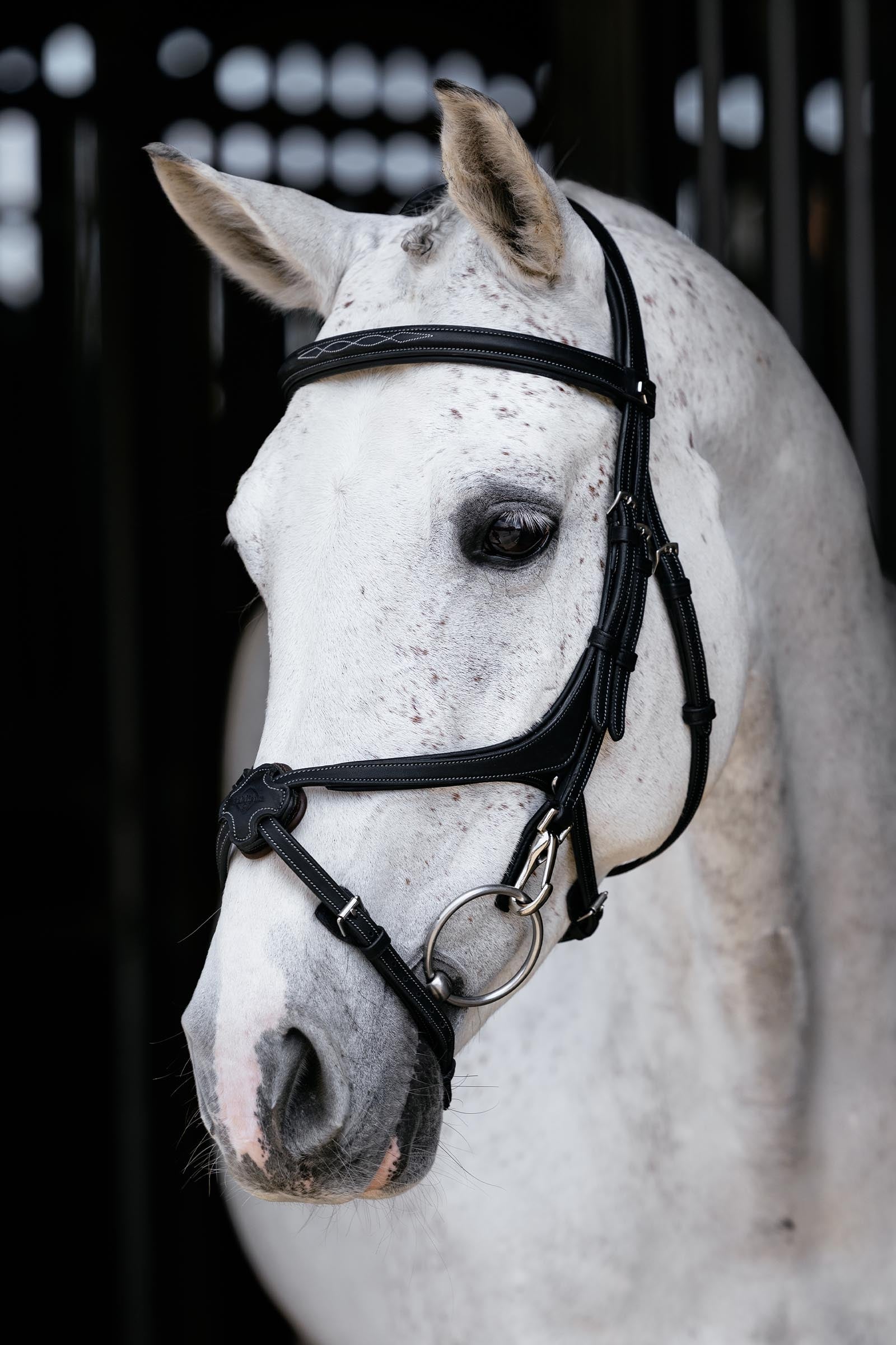 LeMieux Kudos Grackle Work Bridle Bridles & Reins