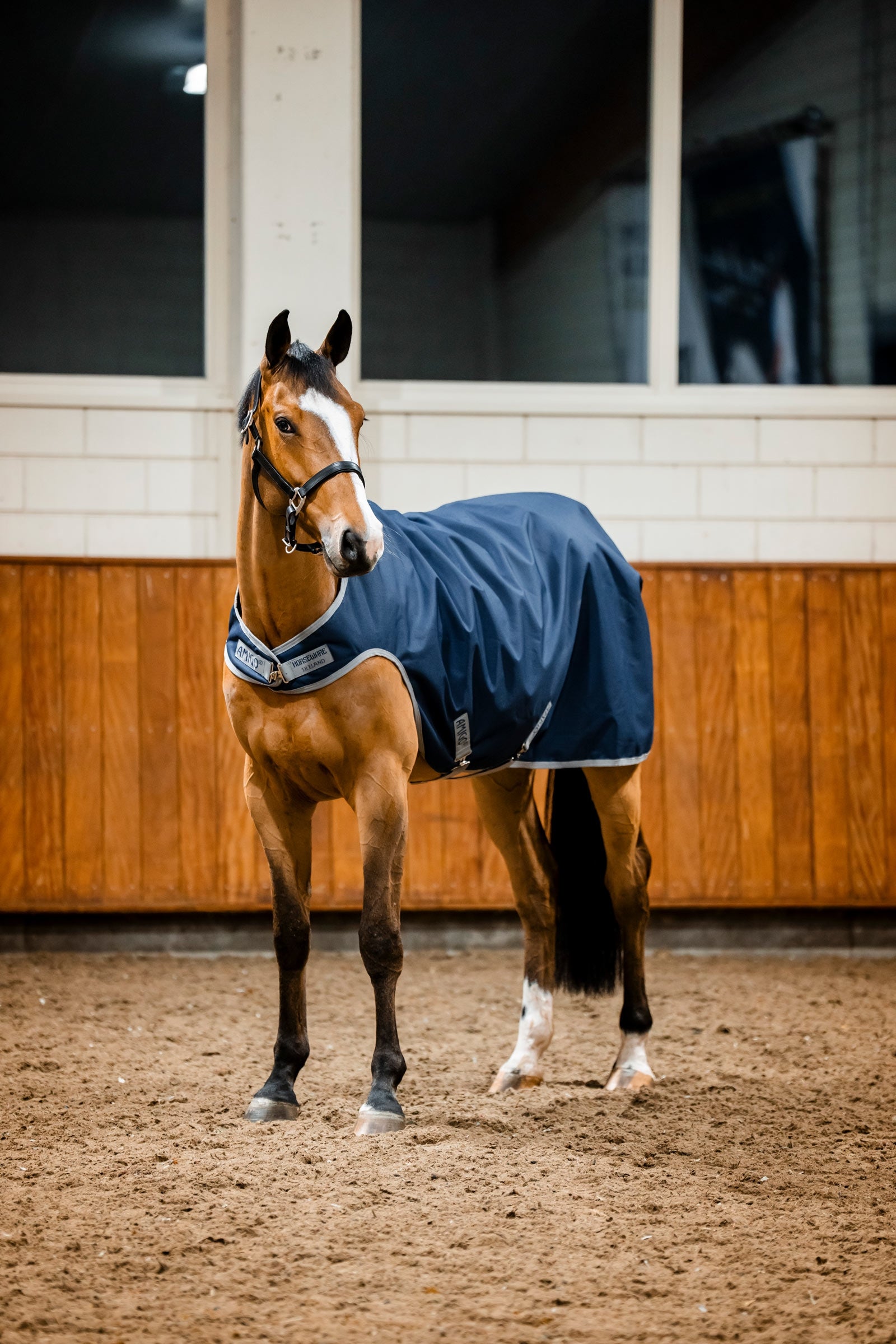 Horseware Amigo Ripstop 900D Walker Rug, 100 g Horse Rugs