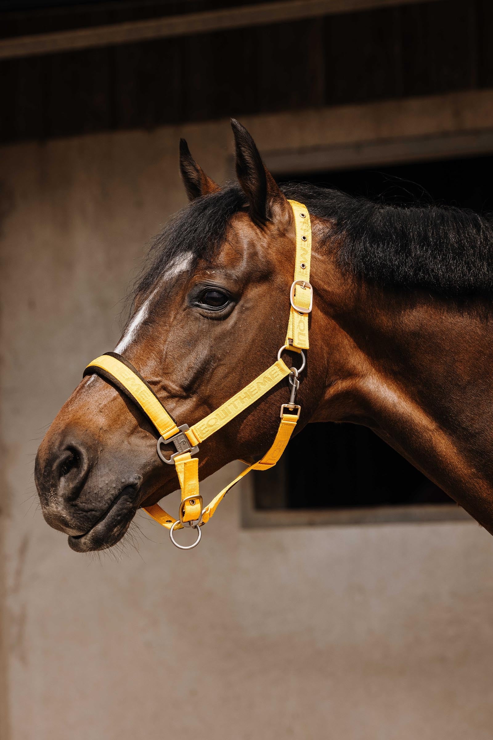 EQUITHÈME Jacquard Nylon Halter Halters & Leads