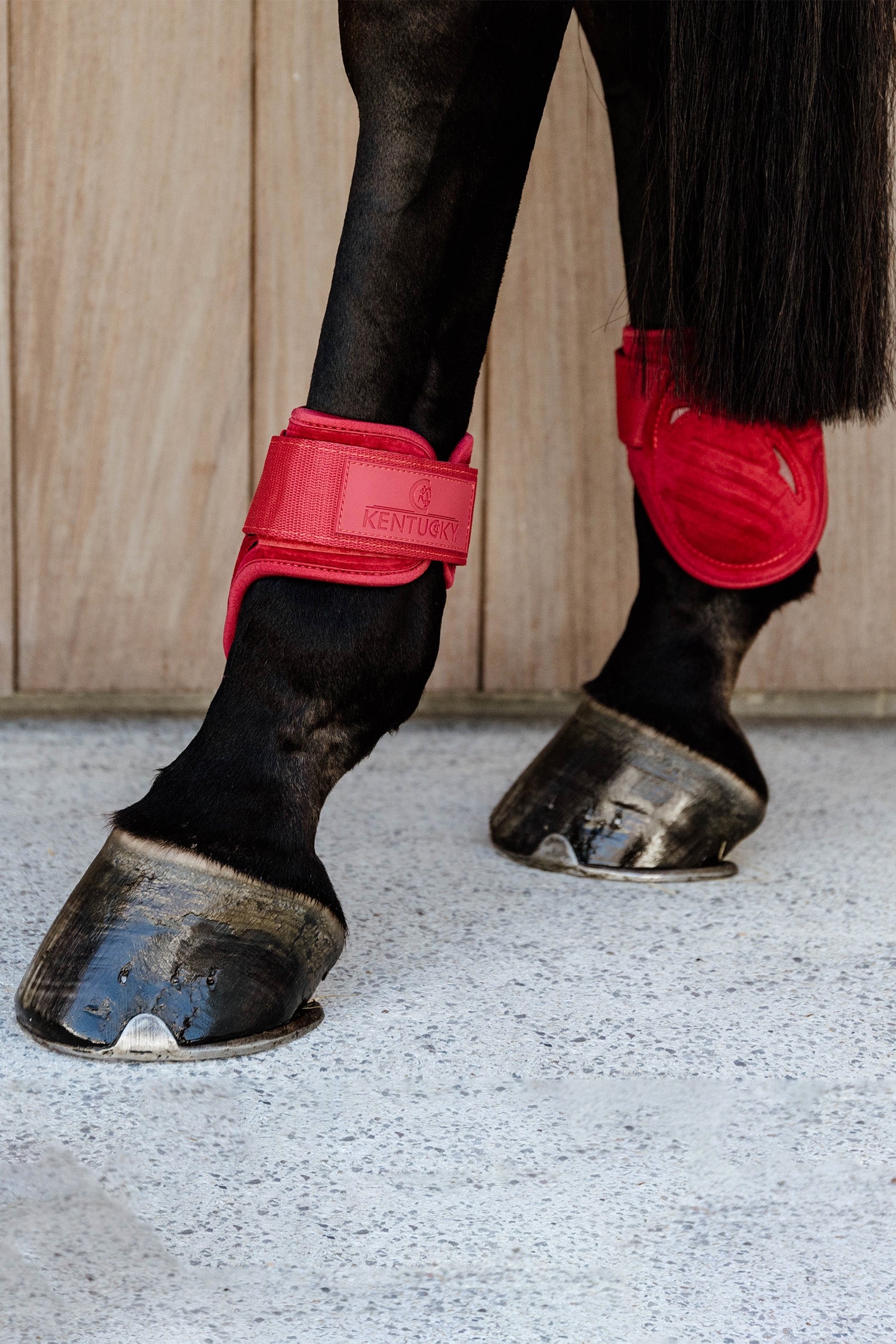 Kentucky Horsewear Velvet Young Horse Fetlock Boots Leg Protection & Hoof Protection for Horses