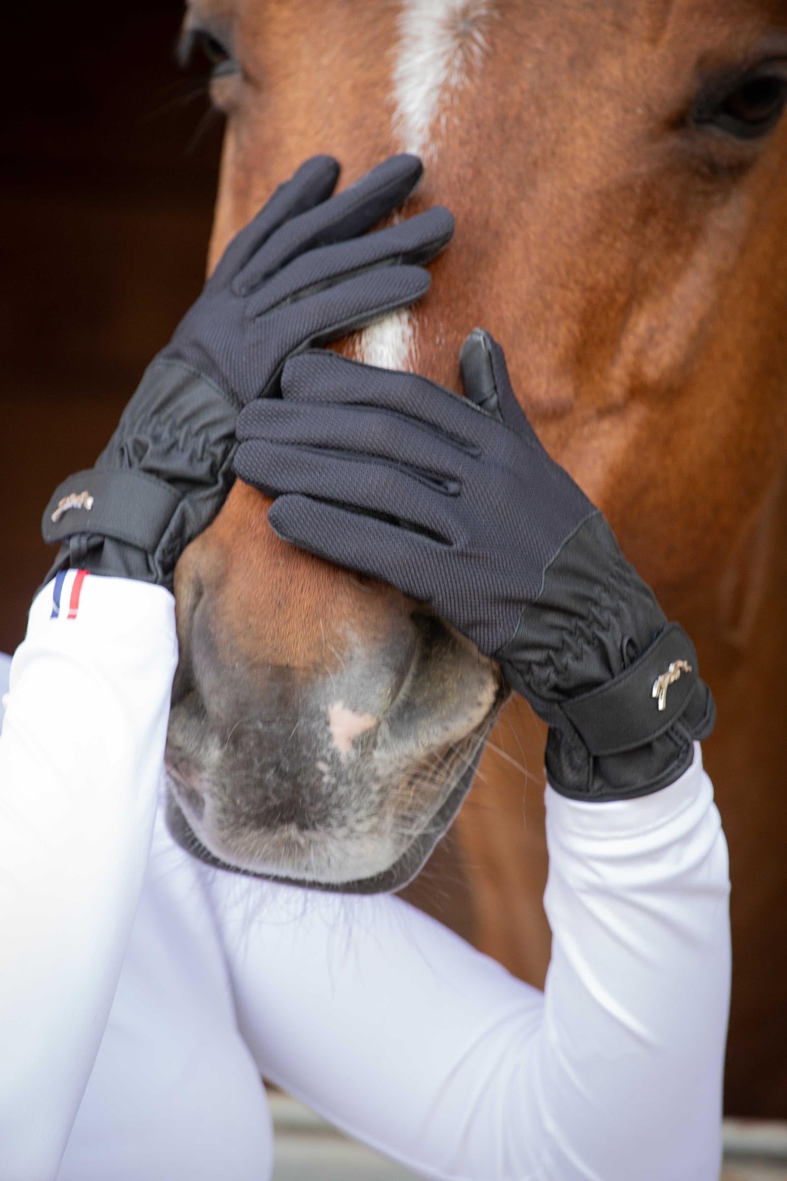 PENELOPE Competition Riding Gloves Riding Gloves