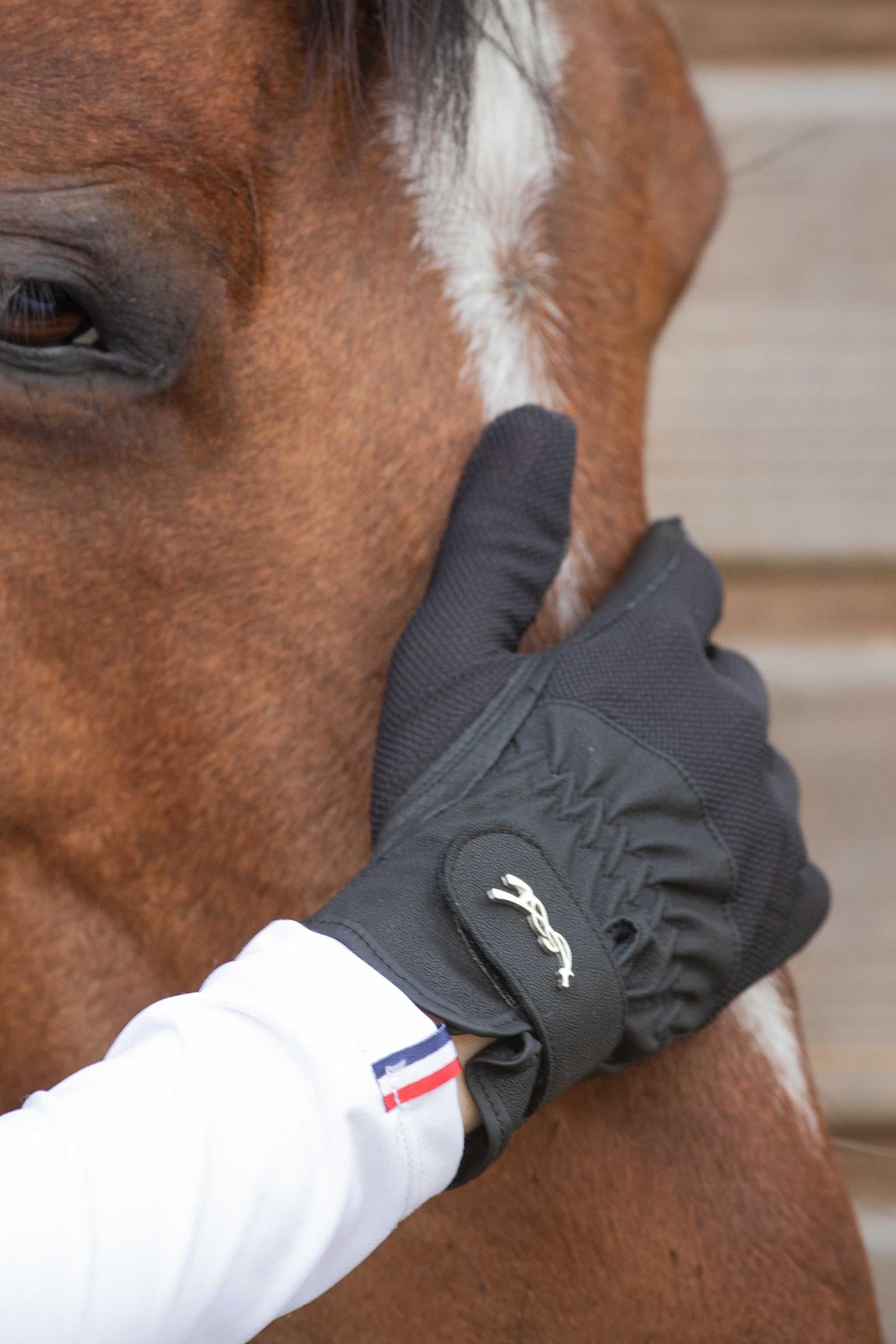 PENELOPE Competition Riding Gloves Riding Gloves