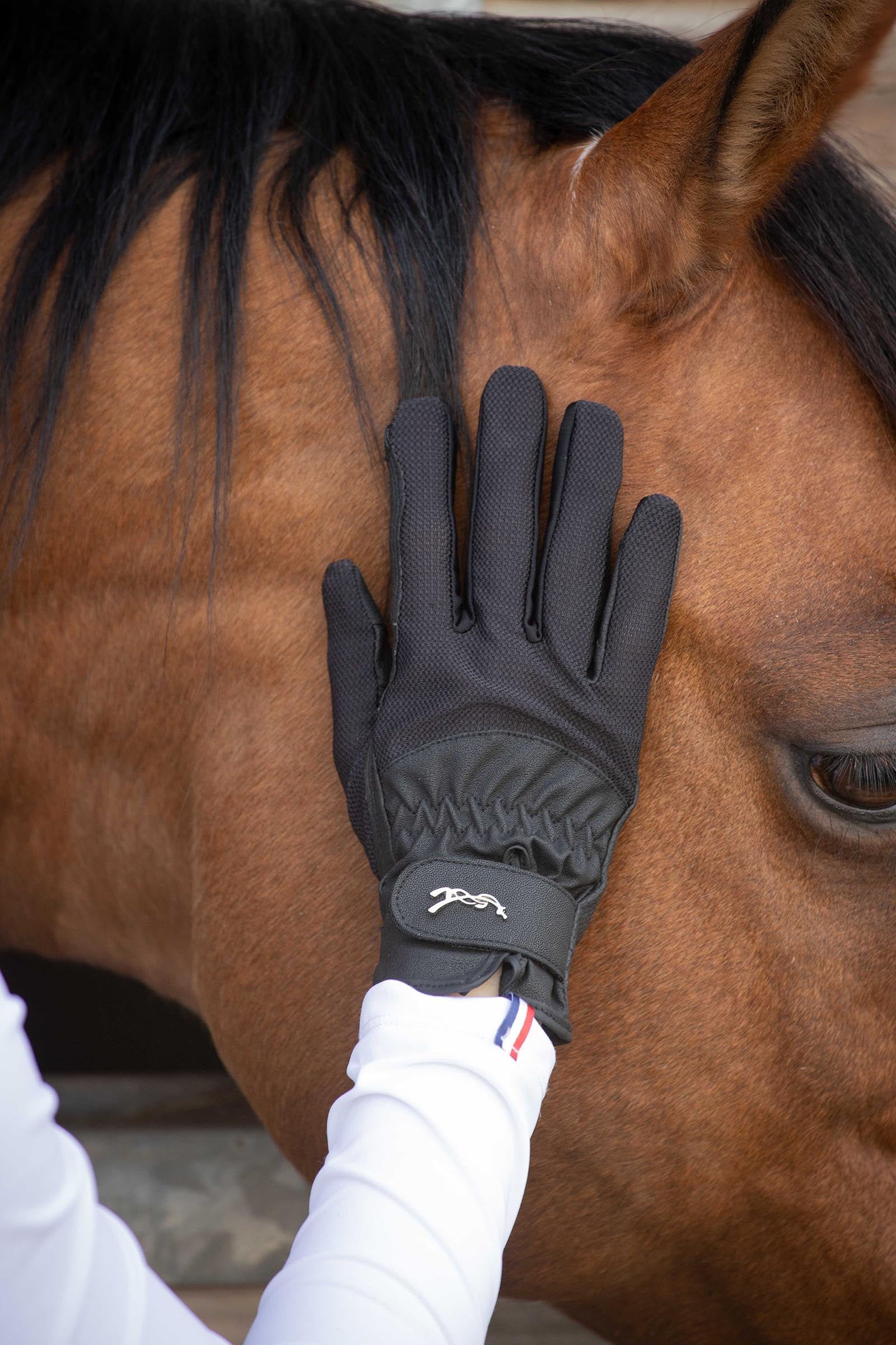 PENELOPE Competition Riding Gloves Riding Gloves