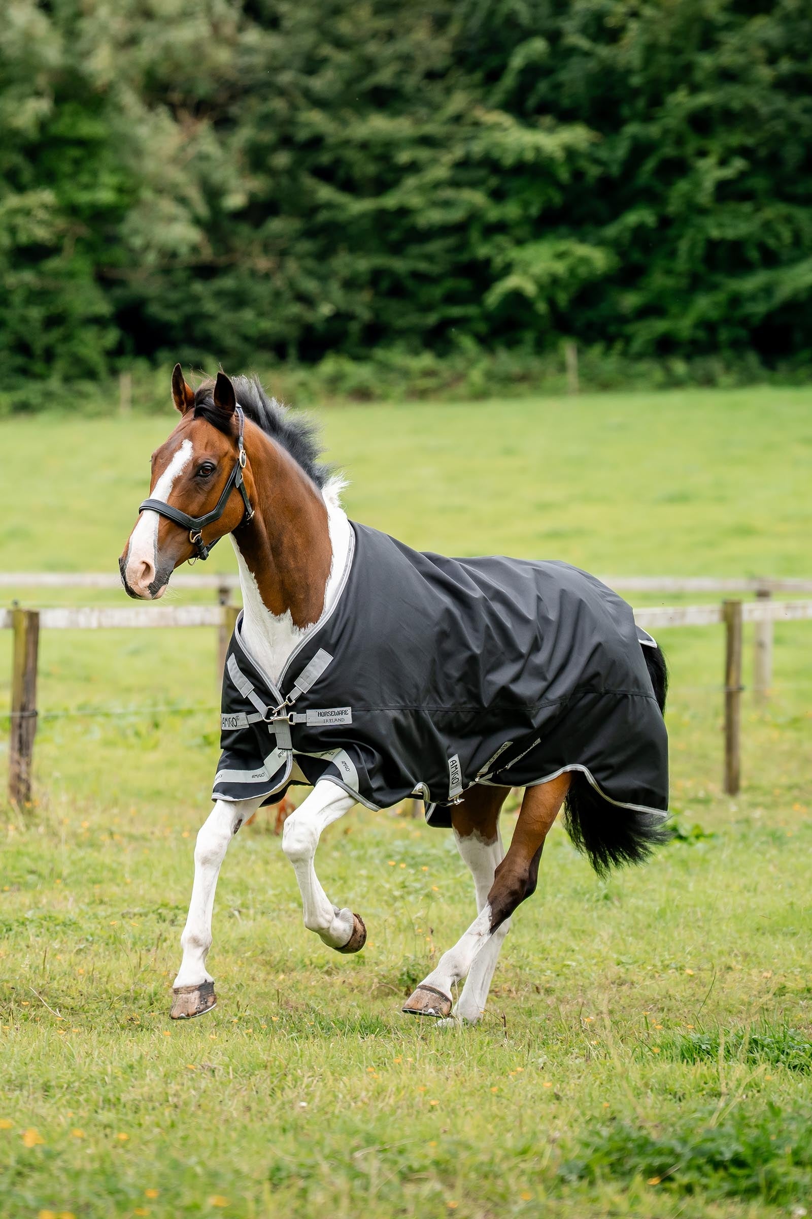 Horseware Amigo 1200D XL Turnout 150 g Horse Rugs
