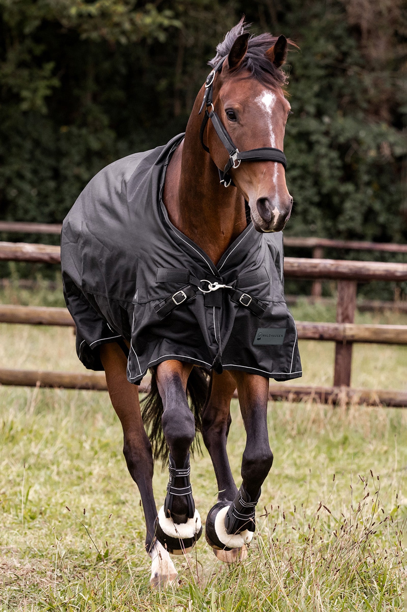 Waldhausen Outdoor Rug Scandic 100g Horse Rugs