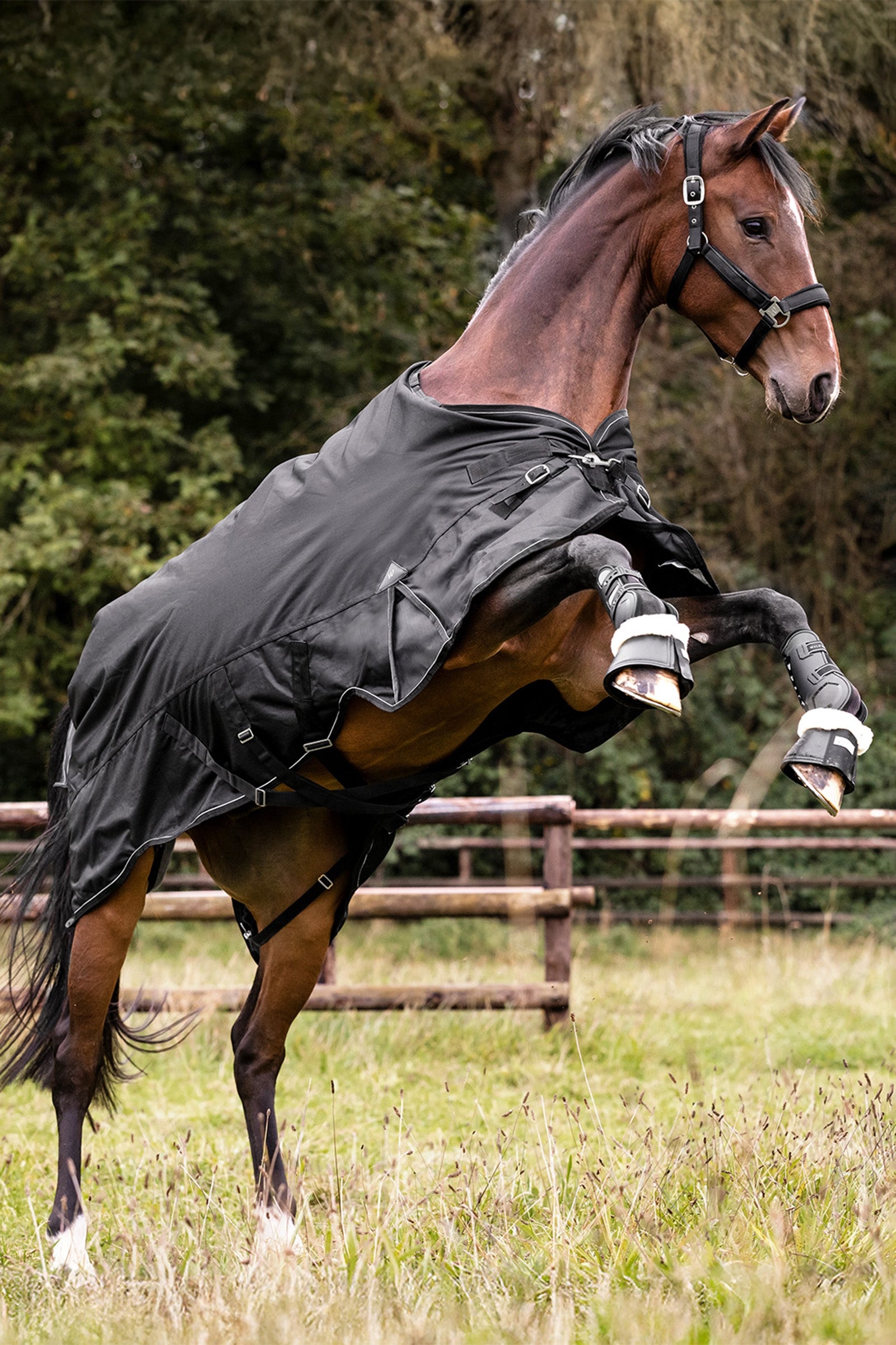 Waldhausen Outdoor Rug Scandic 100g Horse Rugs