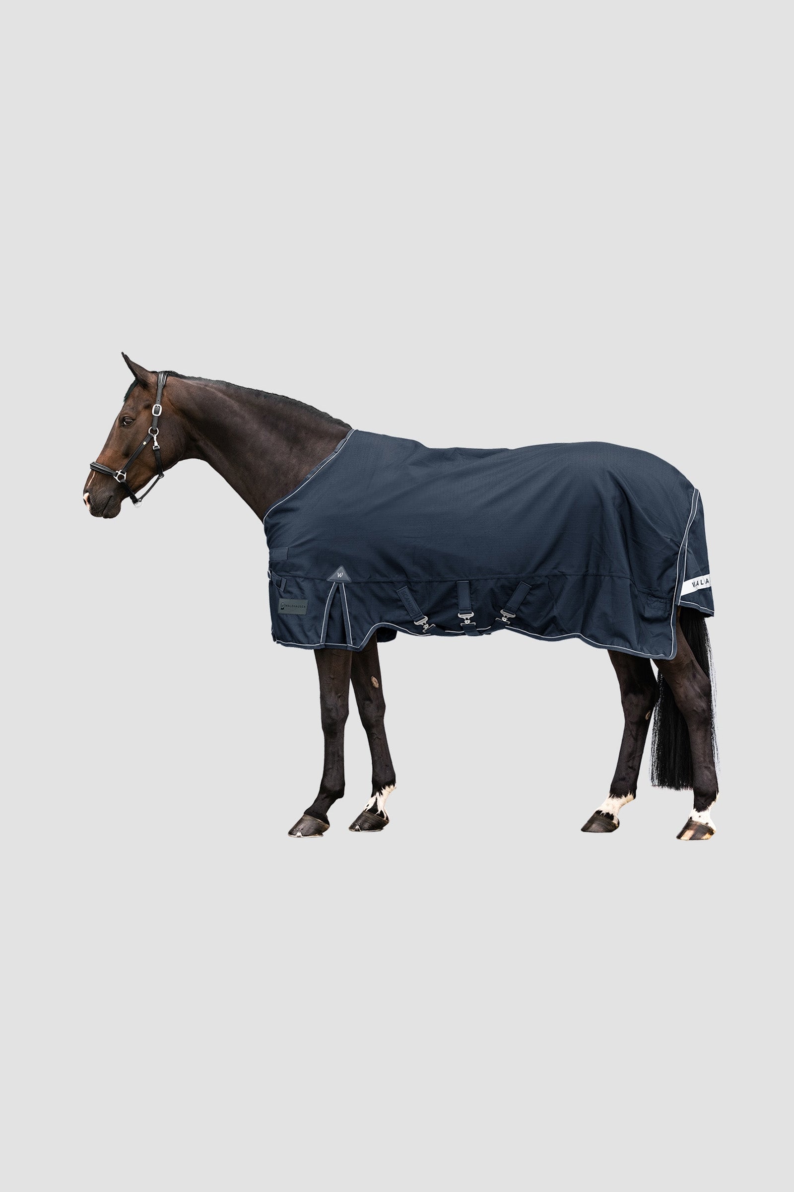 Waldhausen Outdoor Rug Scandic 100g Horse Rugs