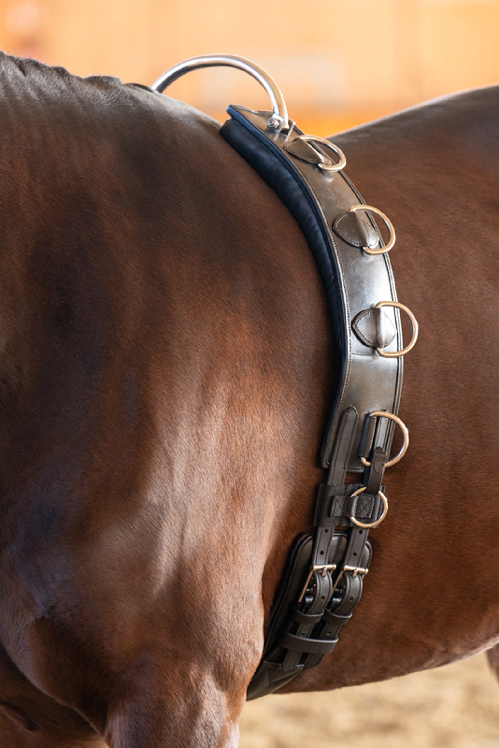 Kavalkade Cincha de Longe en cuero con marco Monturas & Cinchas