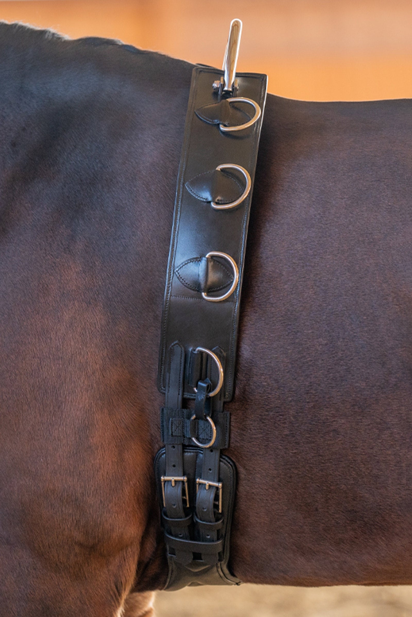 Kavalkade Leather Lungeing Girth With Frame Saddles, Girths & Stirrups